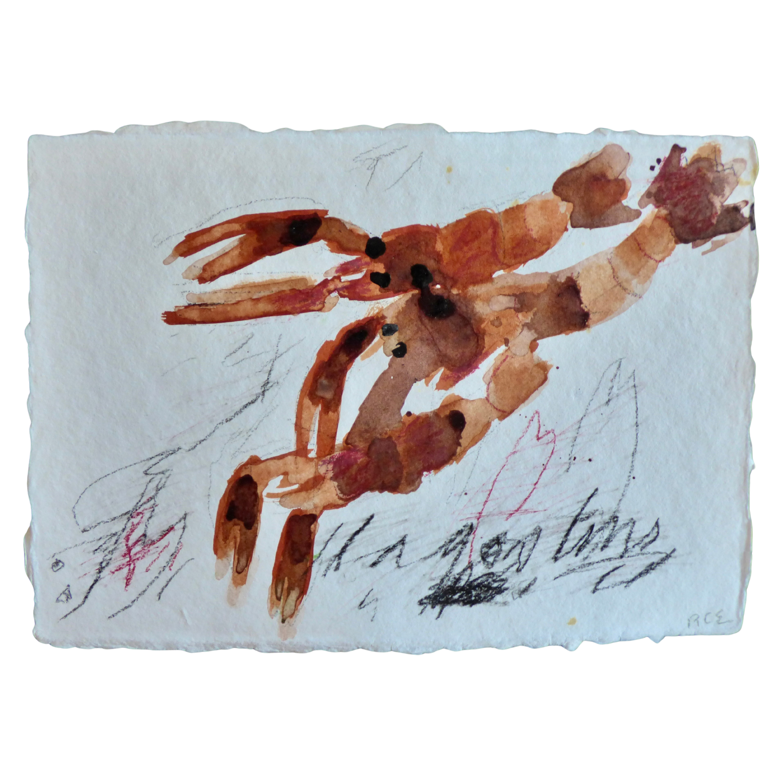 Llagostins // Langoustines
