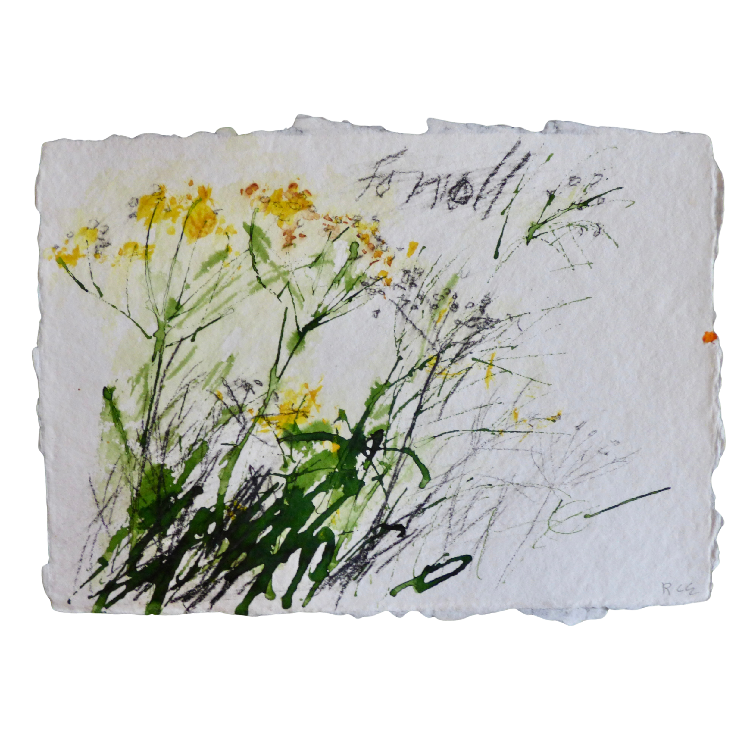 Fonoll // Fenouil