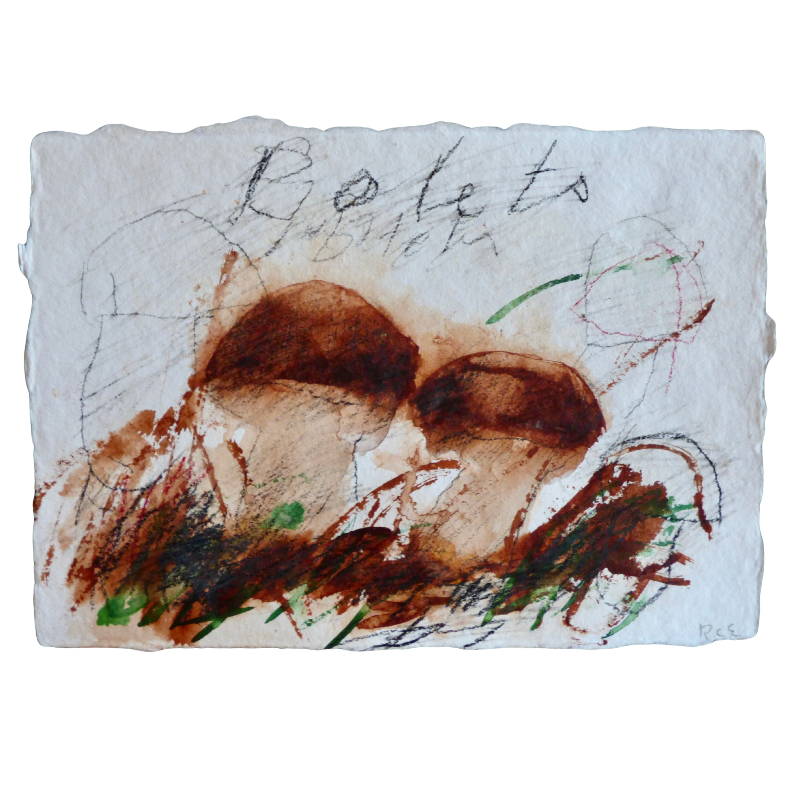 Bolets // Cèpes