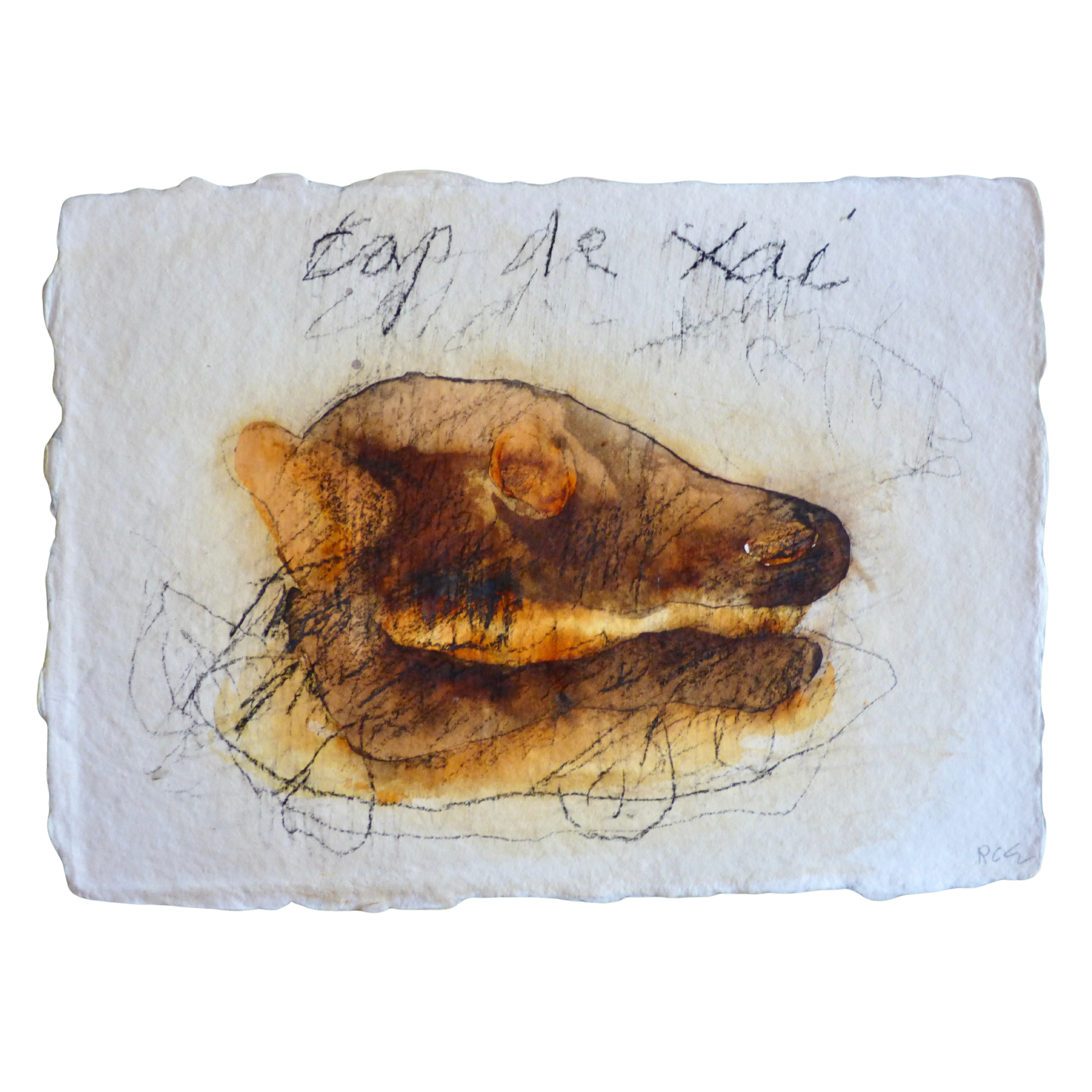 Cap de Xai // Tête d'agneau