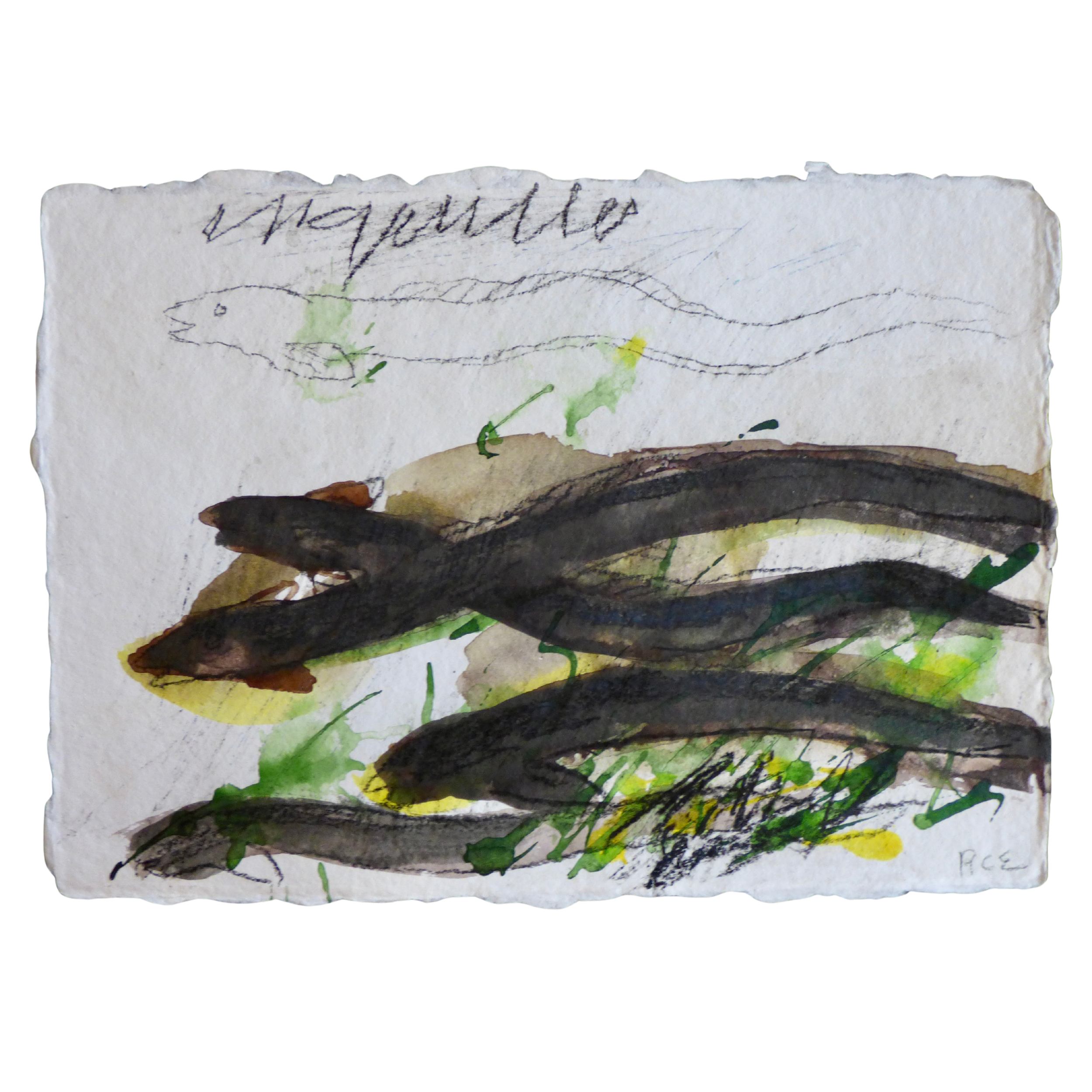 Anguiles // Anguilles