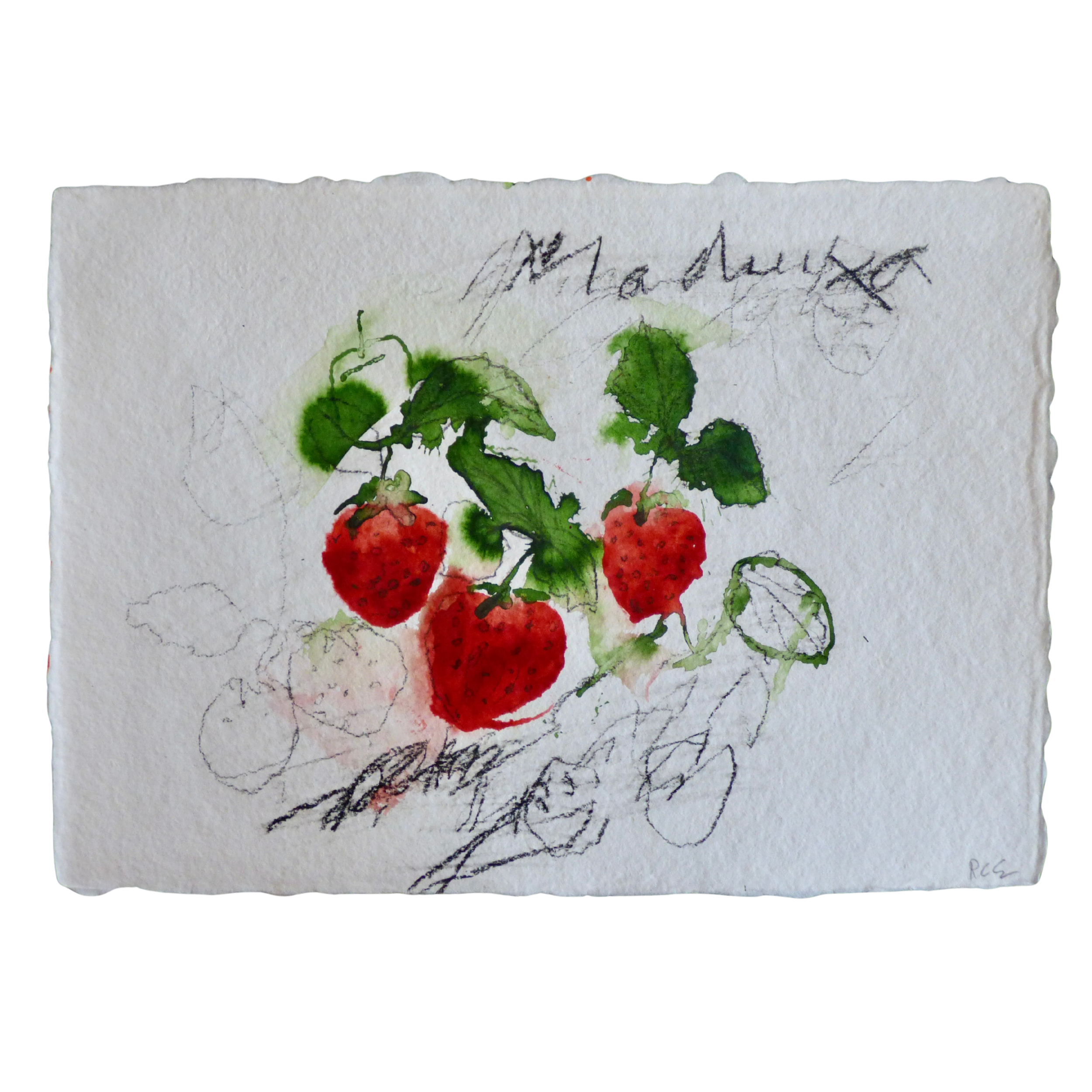 Maduixa // Fraises