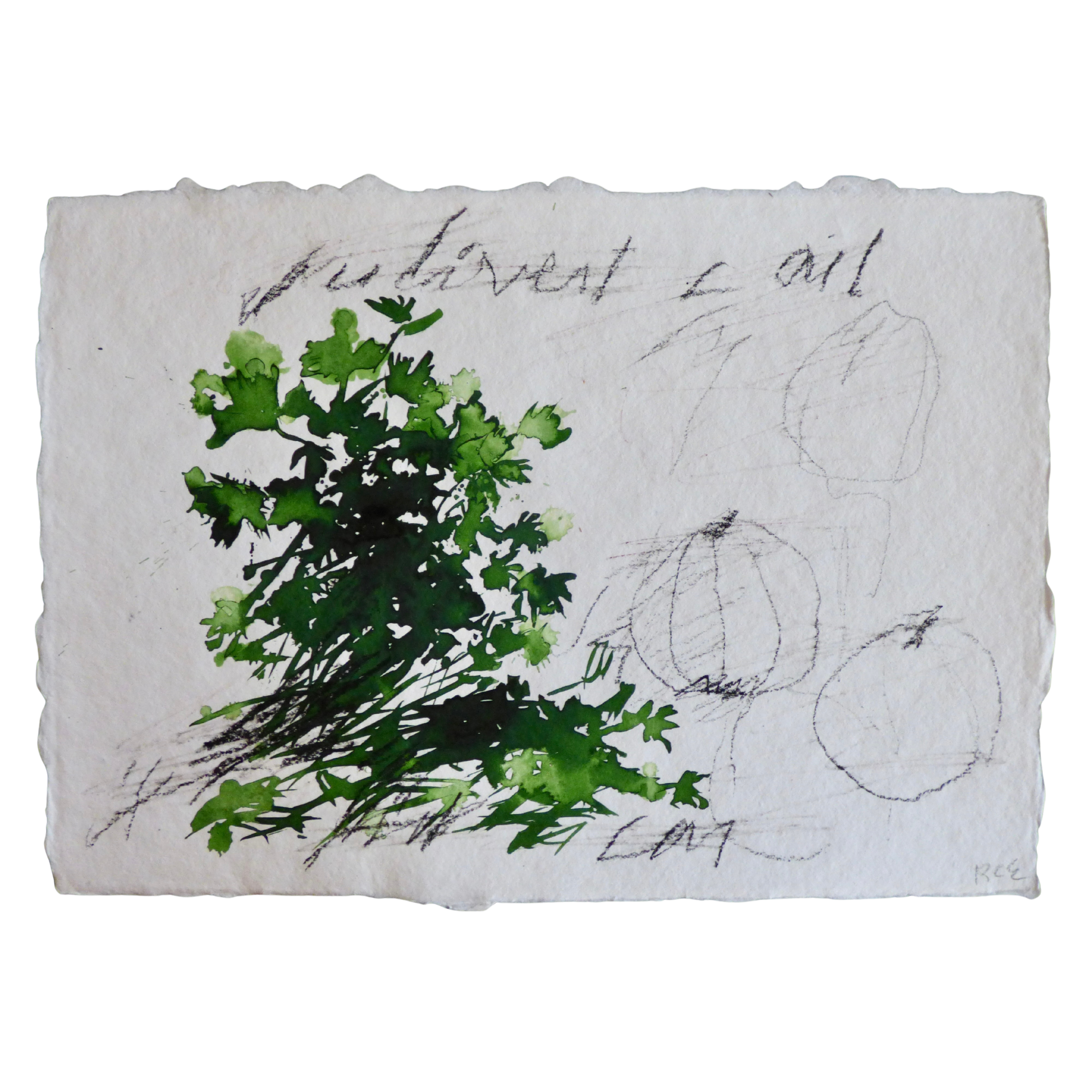 Julivert i ail // Persil et ail