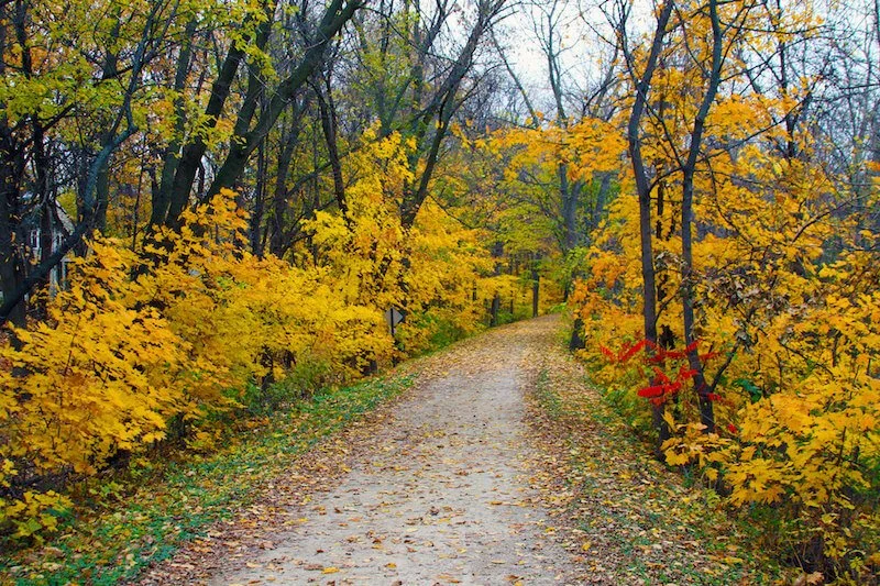 Trail_Shorewood_Minnesota.jpg