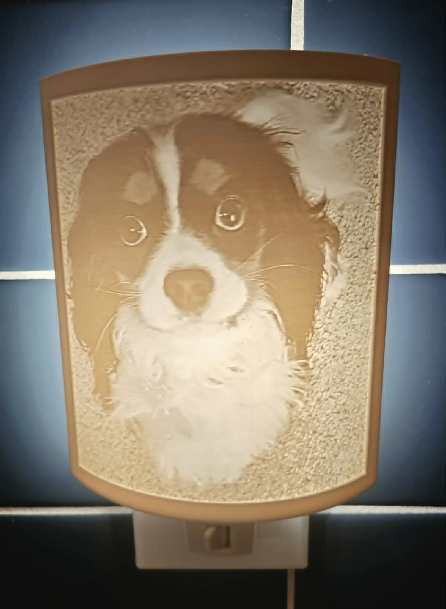 charlie lithophane.jpg