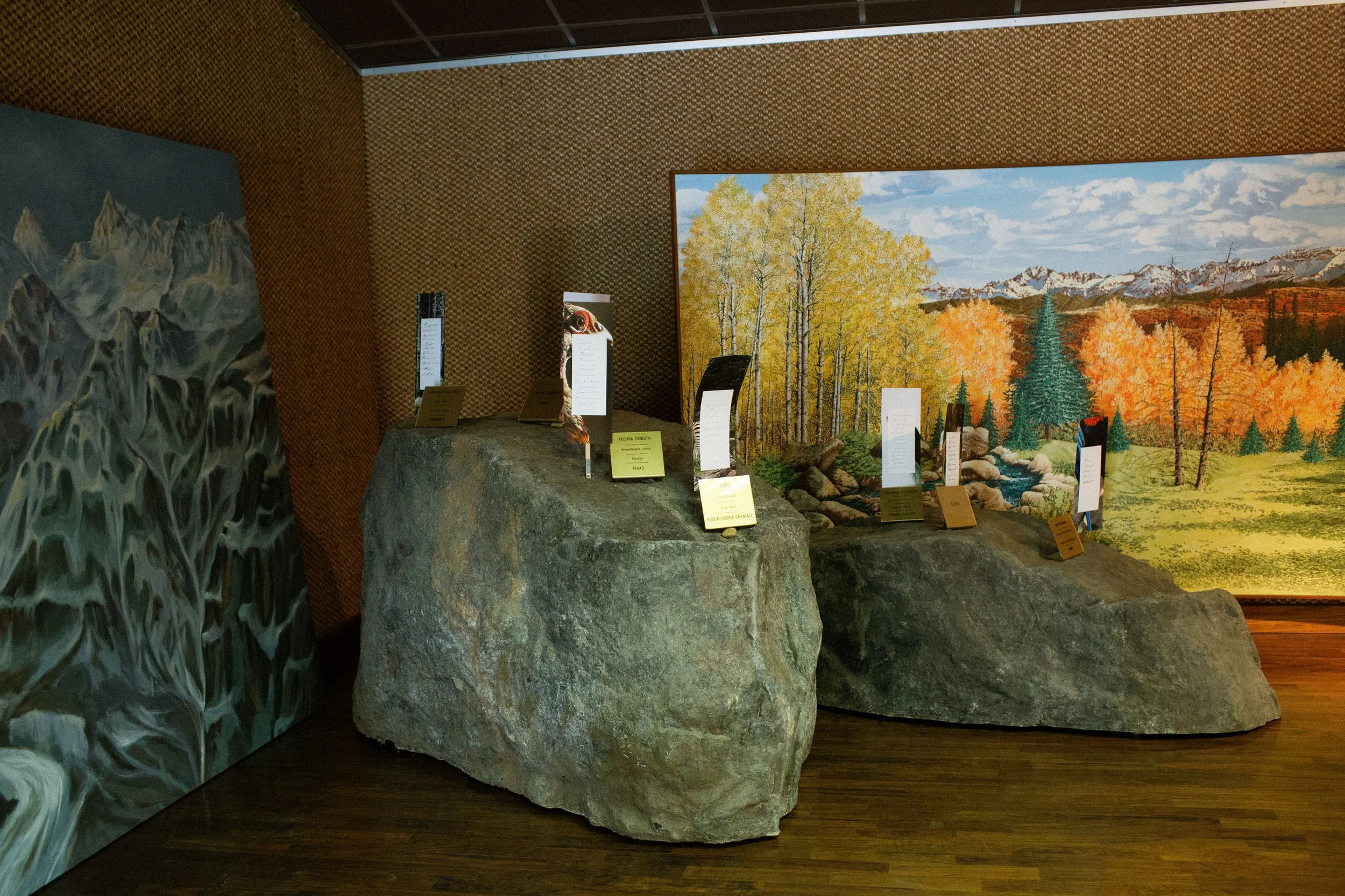 italian-wedding-taxidermy-museum 0063.jpg