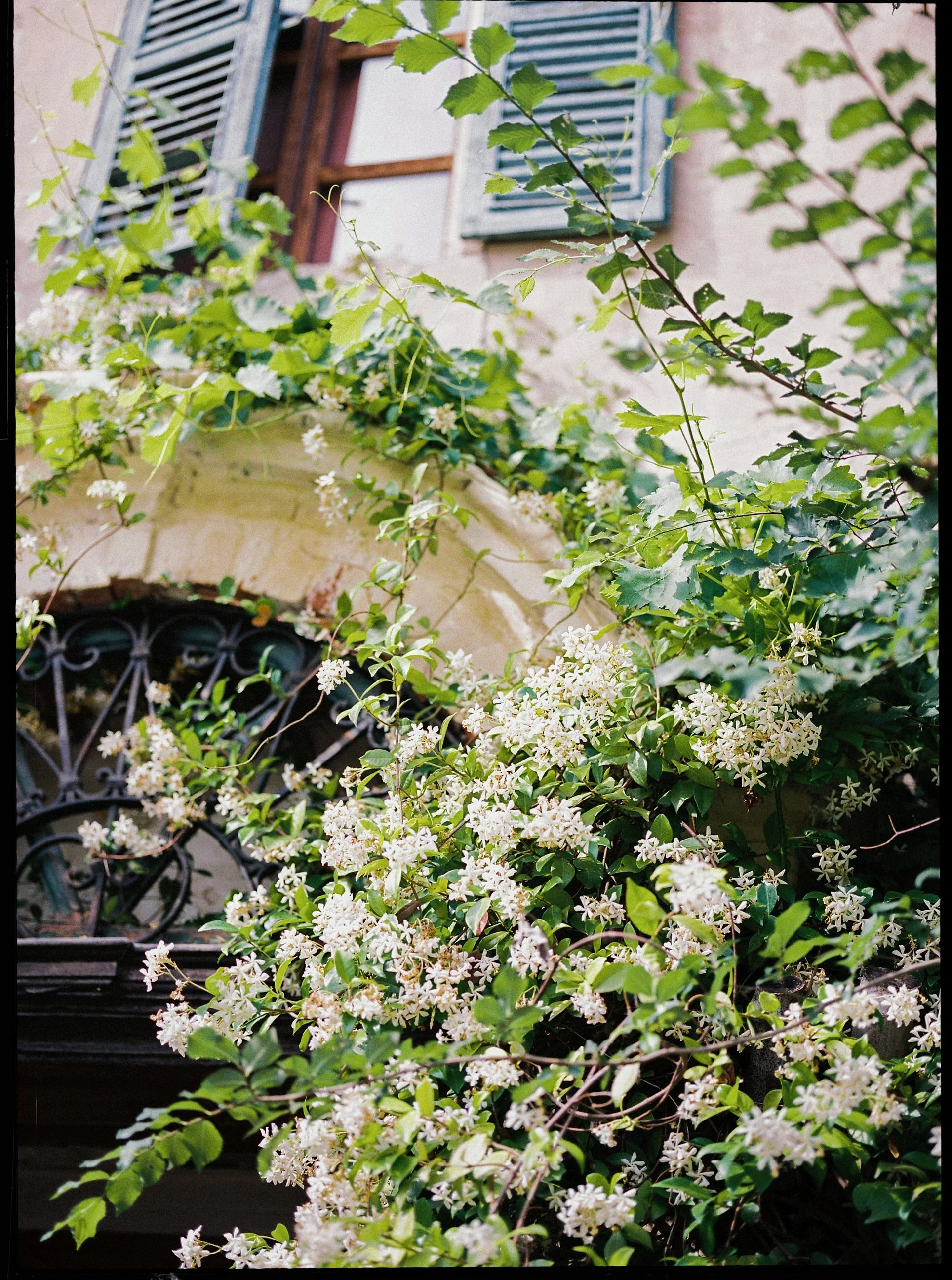 casa-scaparone-piemonte-wedding-langhe 0039.JPG