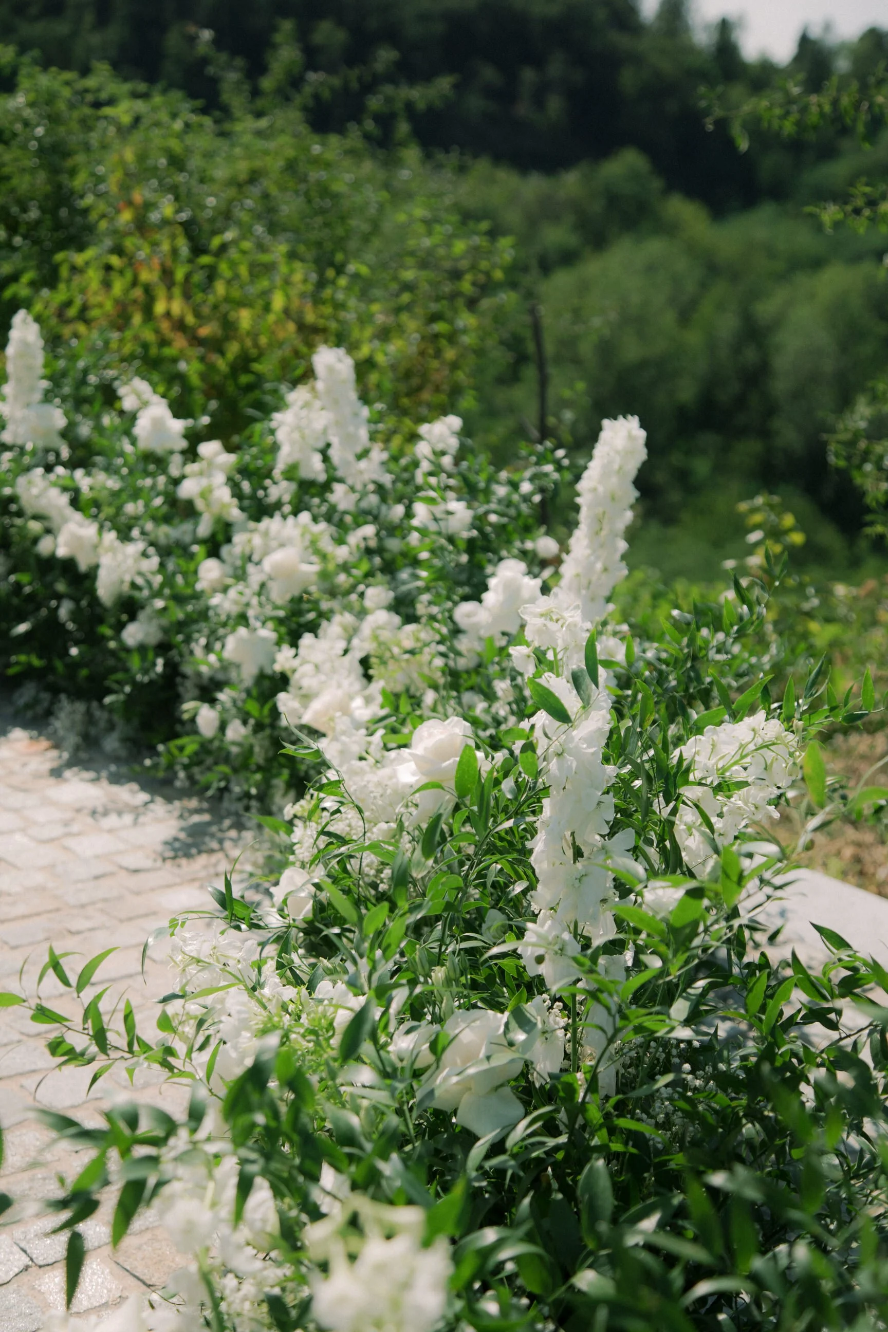 casa_di_langa_wedding_piedmont 0049.JPG