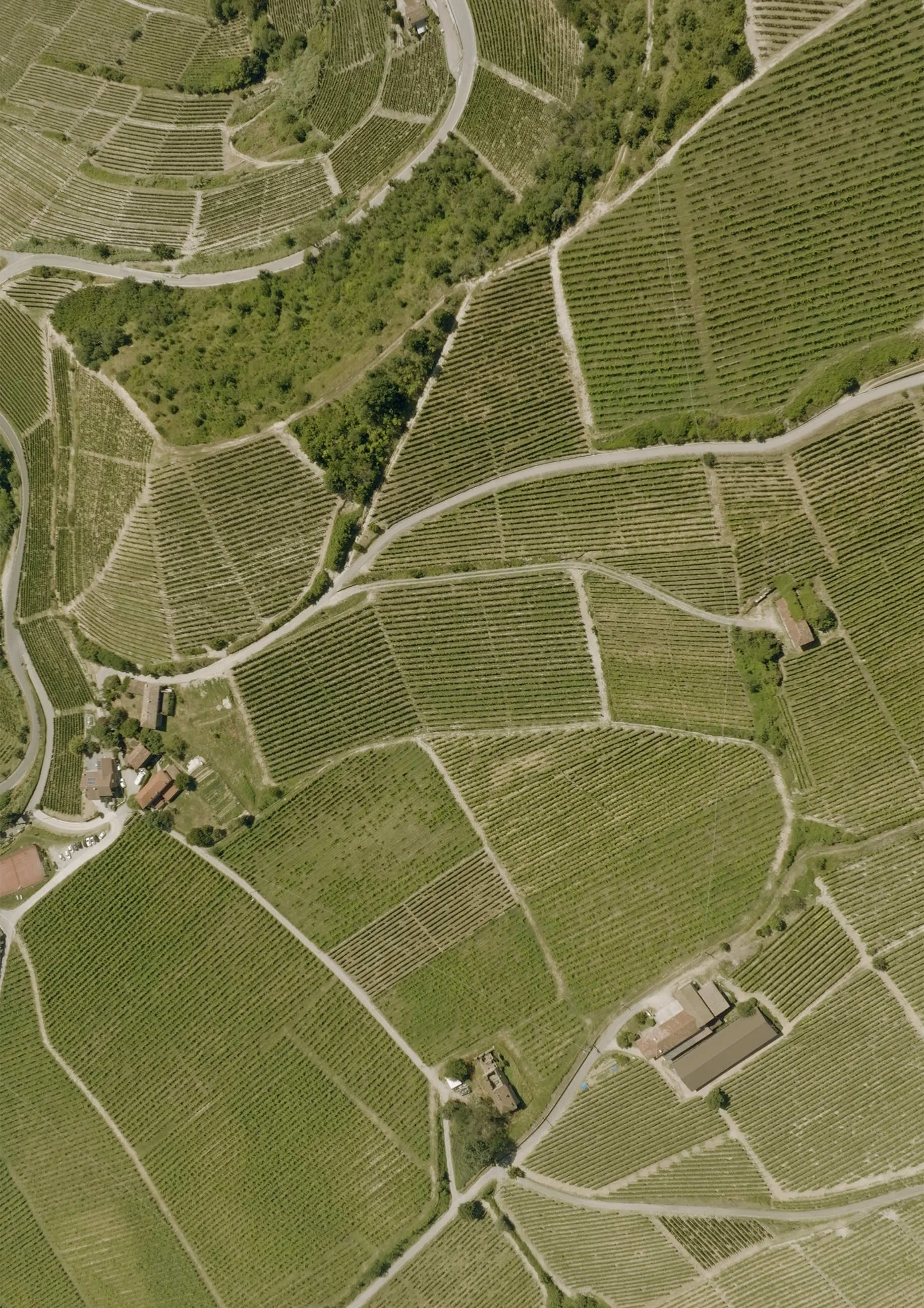 relais-san-maurizio-wedding-langhe 0066.JPEG