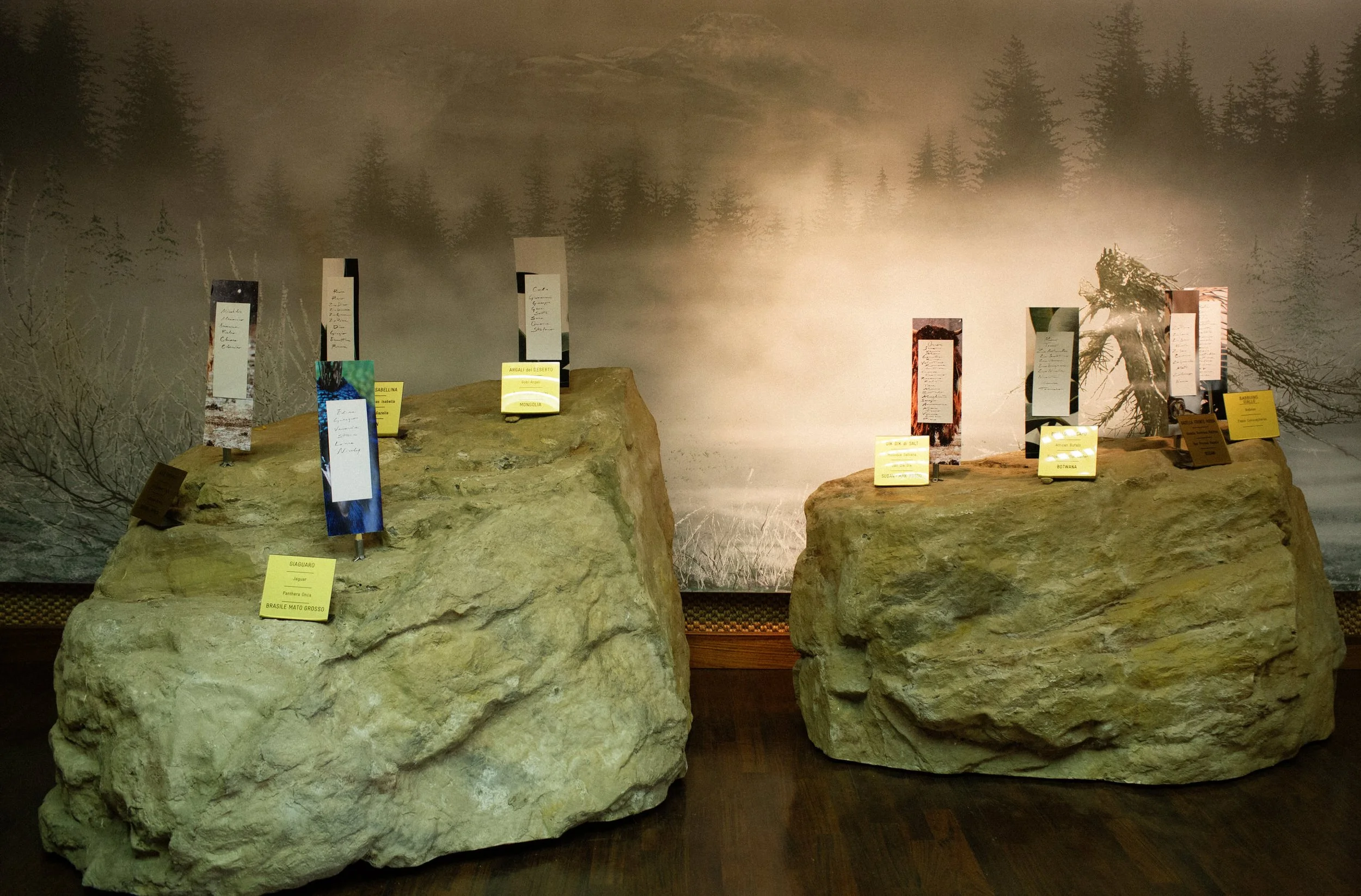 italian-wedding-taxidermy-museum 0065.jpg