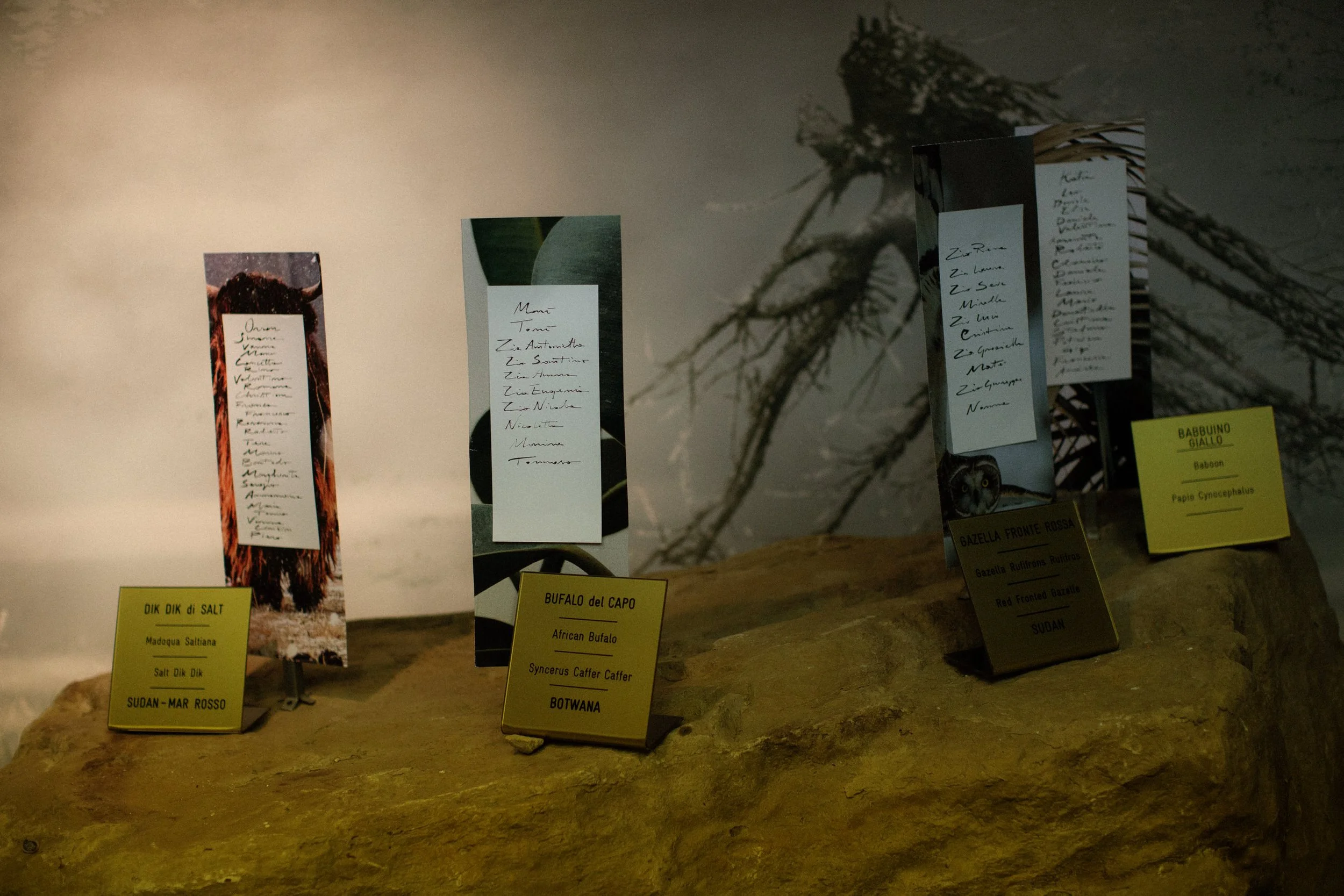 italian-wedding-taxidermy-museum 0064.jpg