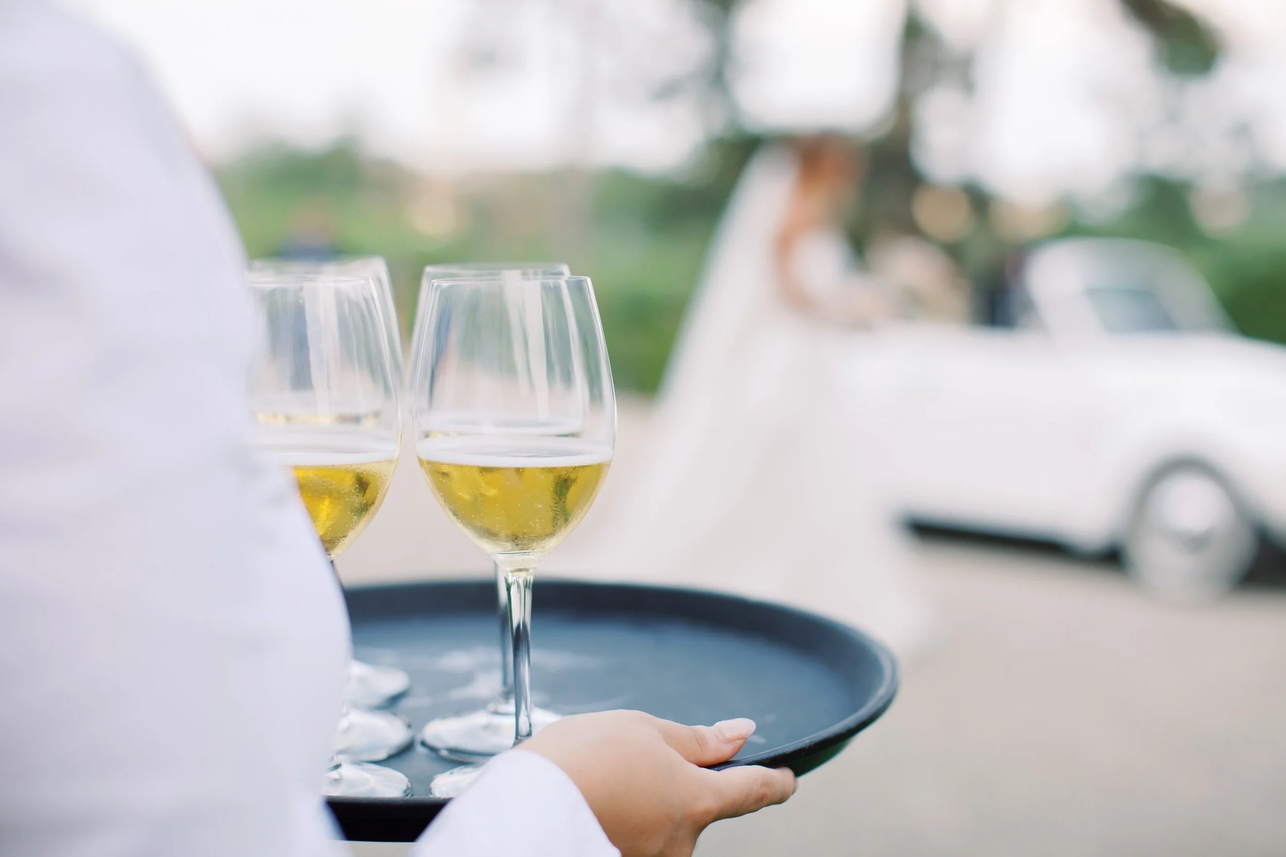 wedding-monferrato-villa-sparina 0051.JPG
