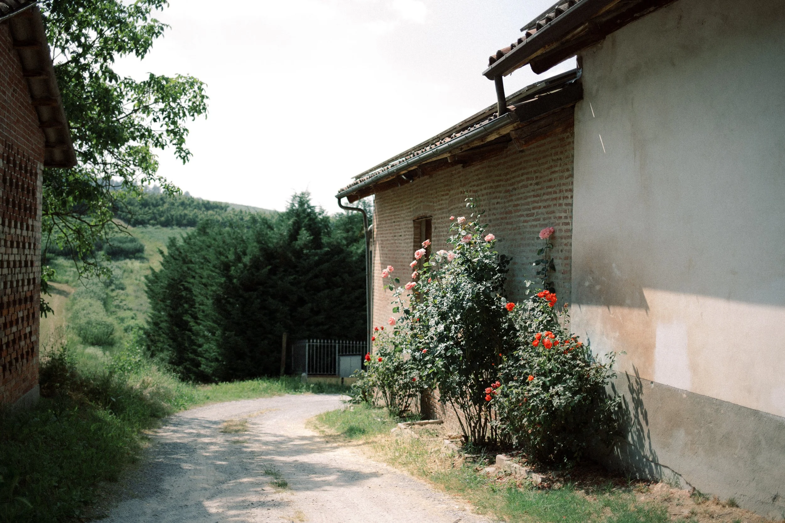 casa-scaparone-piemonte-wedding-langhe 0078.JPG