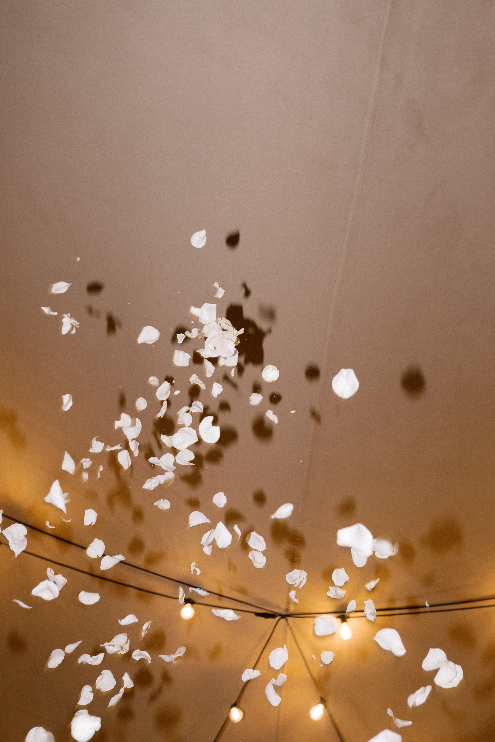 jewish-wedding-tuscany-borgo-scopeto 0119.JPG