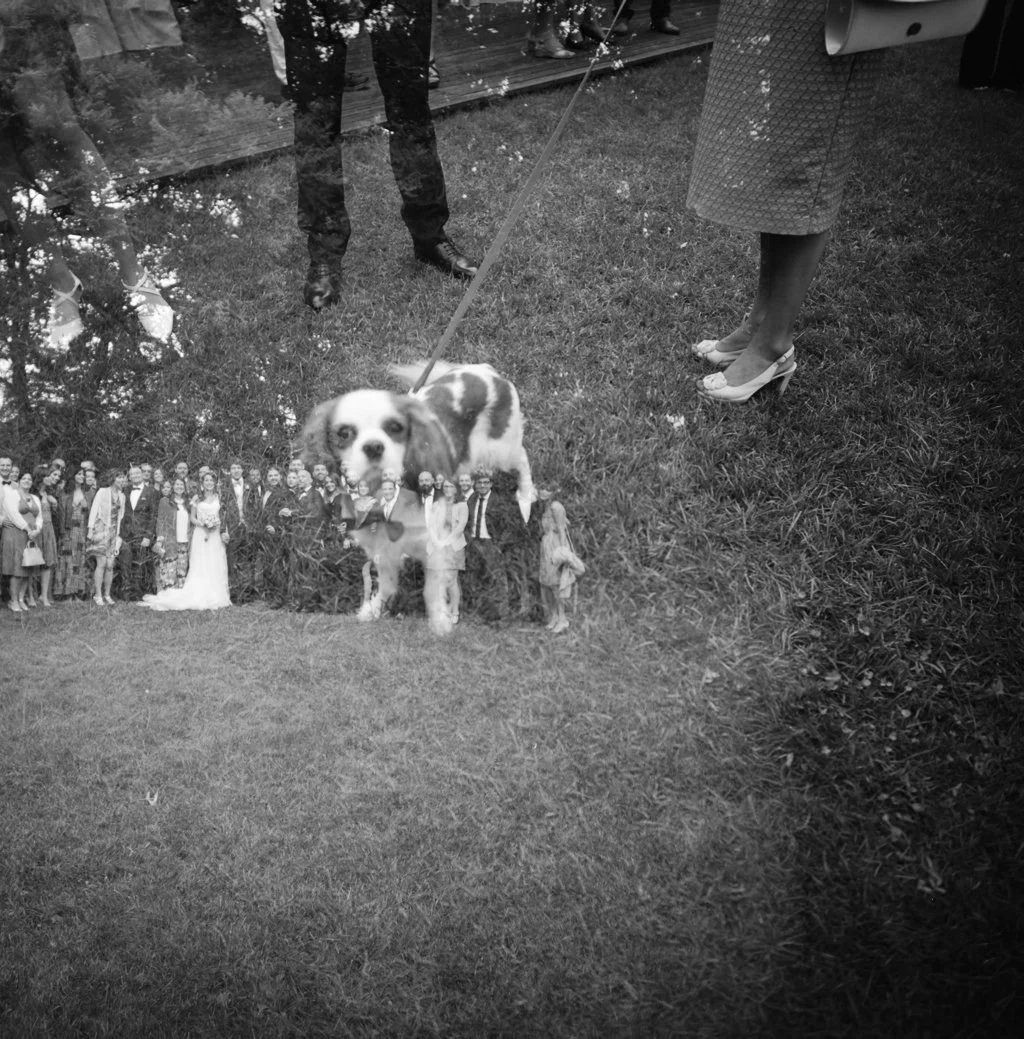 Una foto in bianco e nero di un cane nella parte superiore dell'immagine con persone e un gruppo di persone in basso, che sembrano essere molto più grandi e sono sovrapposti all'immagine del cane.