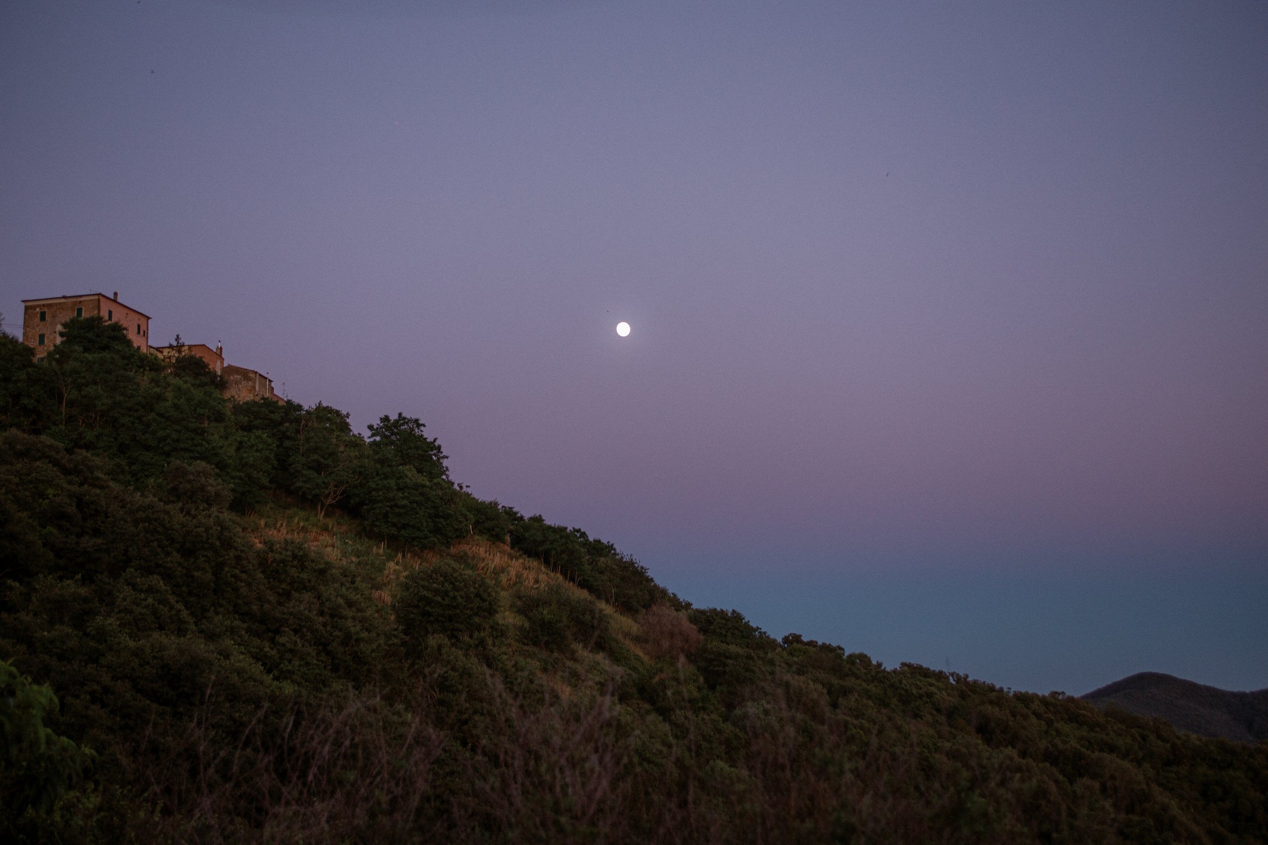 il-baciarino-wedding-in-maremma-tuscany 0217.JPG