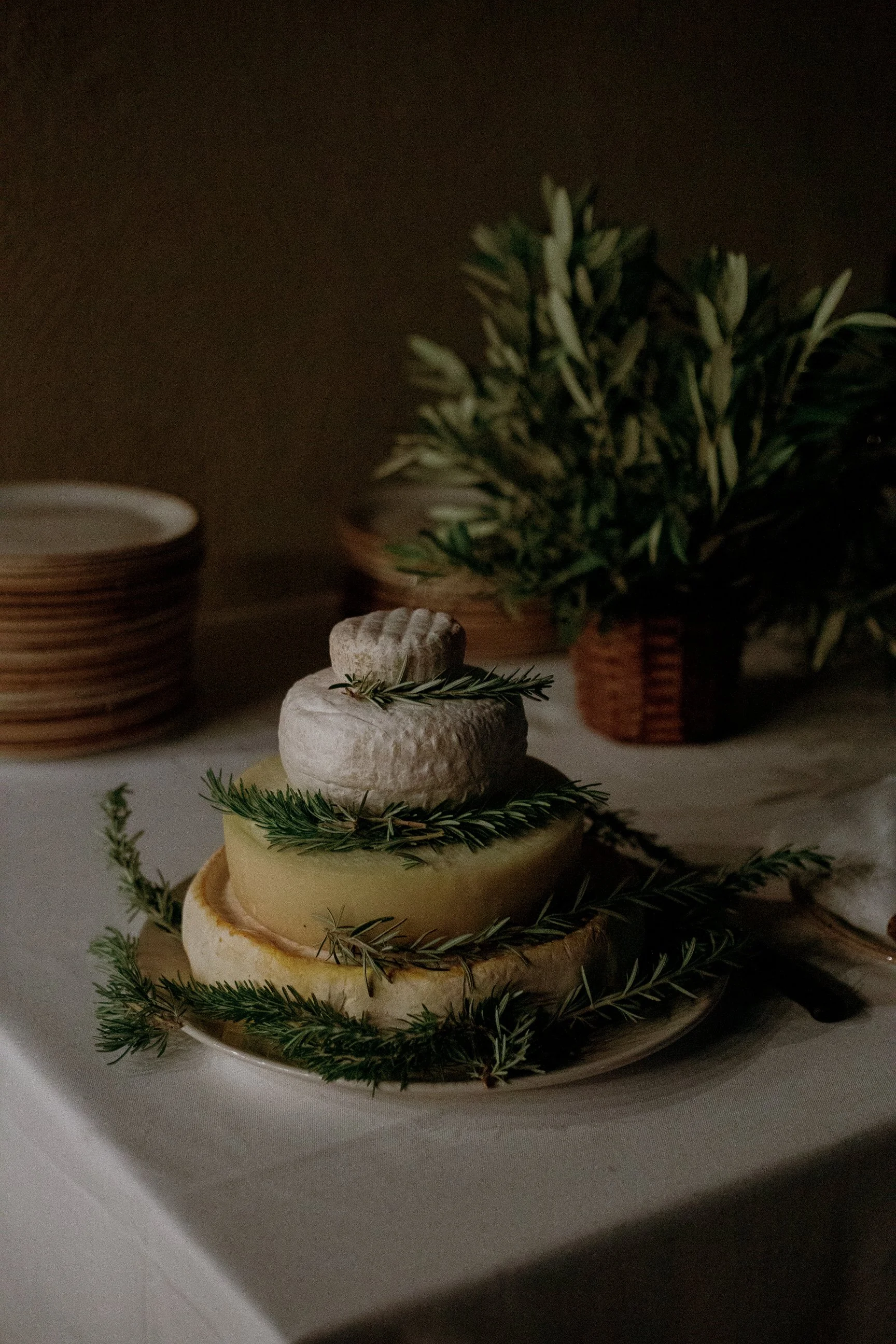 il-baciarino-wedding-in-maremma-tuscany 0248.JPG