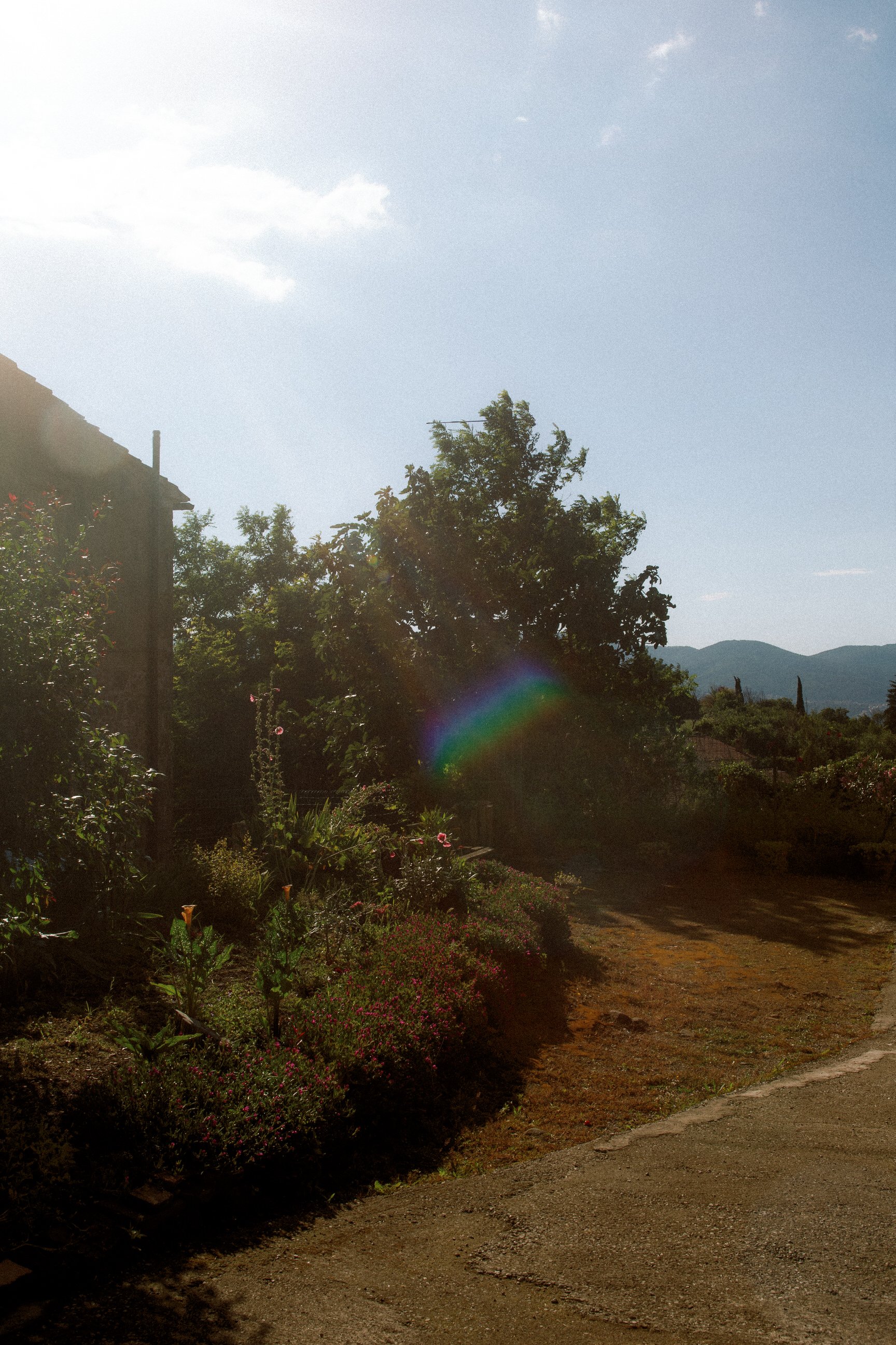 welcome-aperitif-vetulonia-maremma-tuscany 0035.jpg