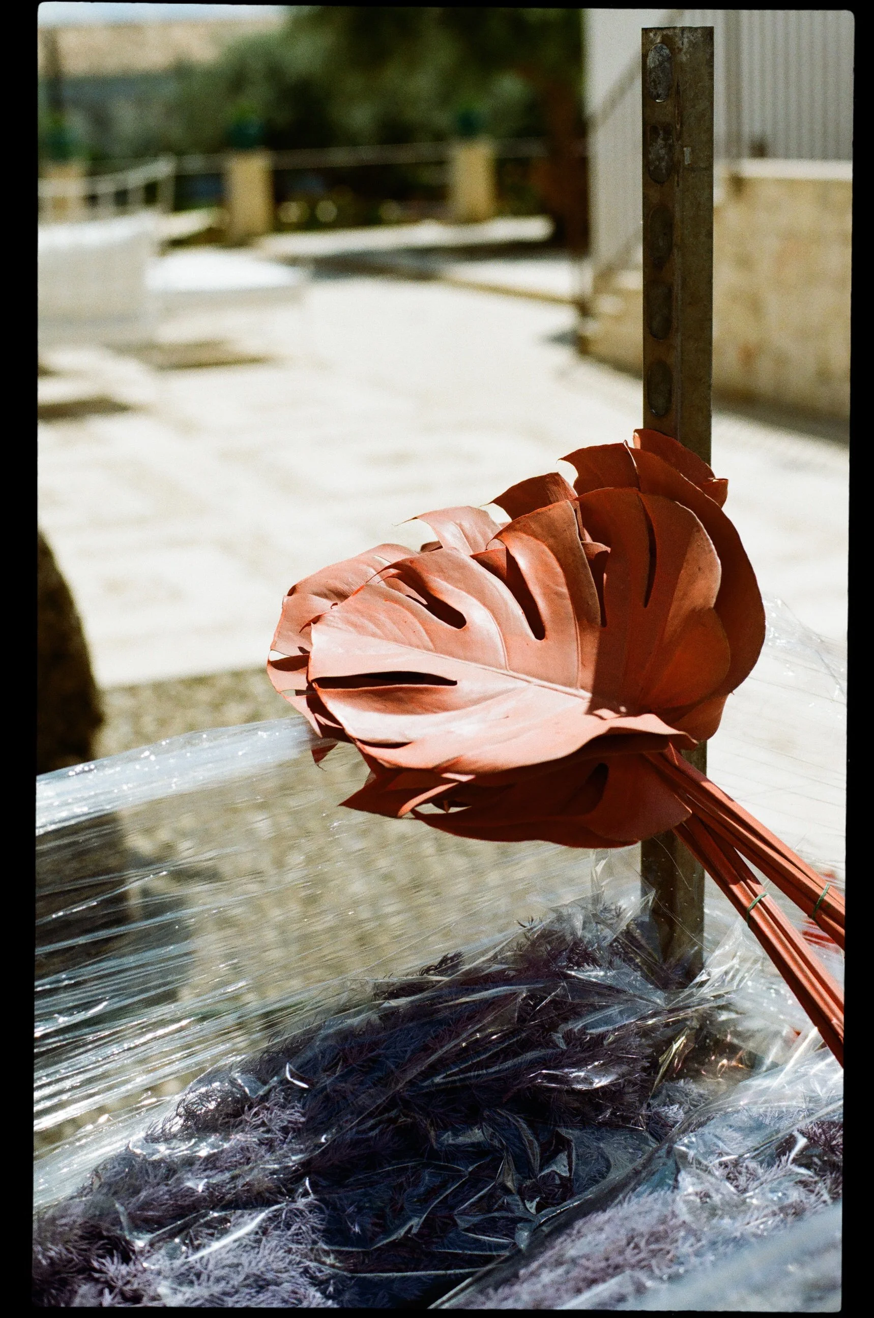 tenuta-falconeri-wedding-noto-sicily 0022.jpg