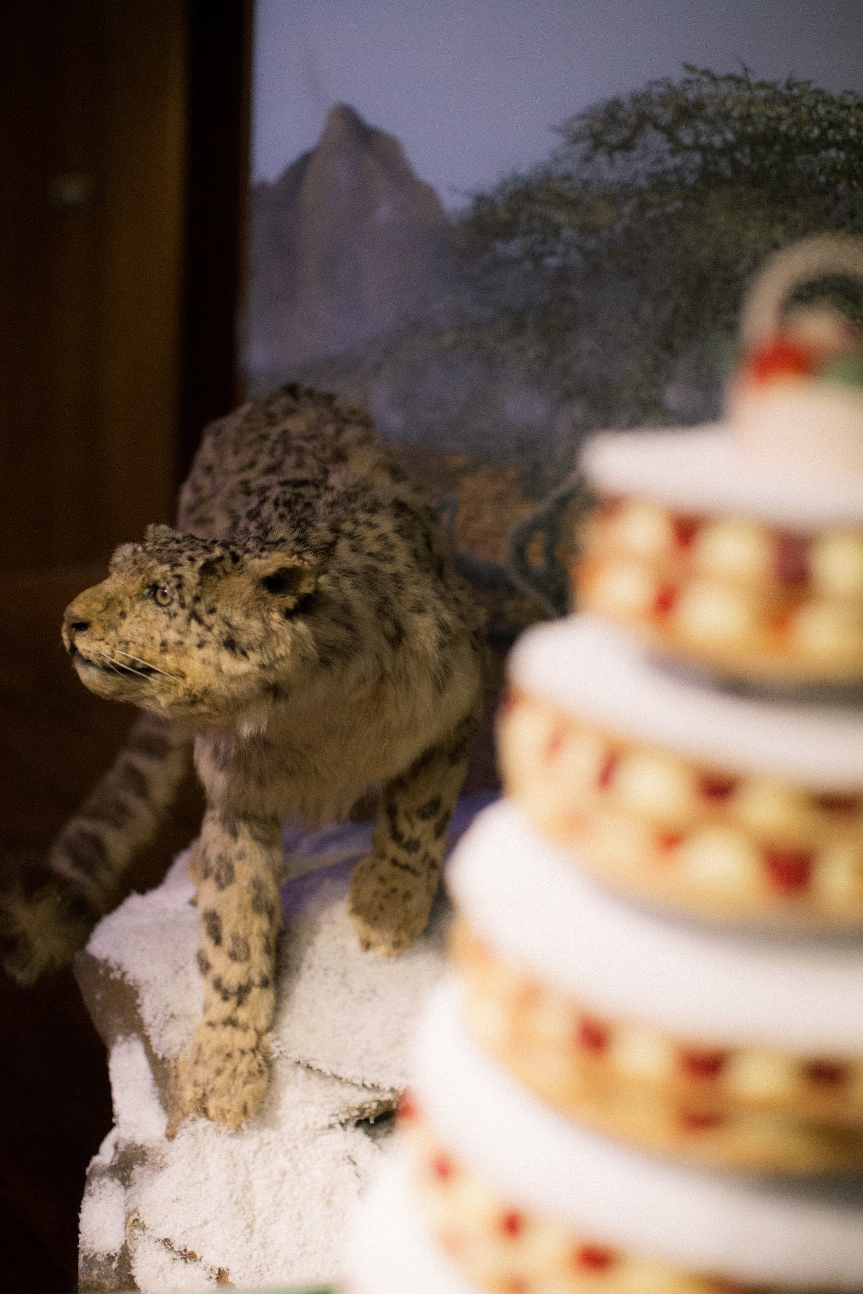 italian-wedding-taxidermy-museum 0166.jpg