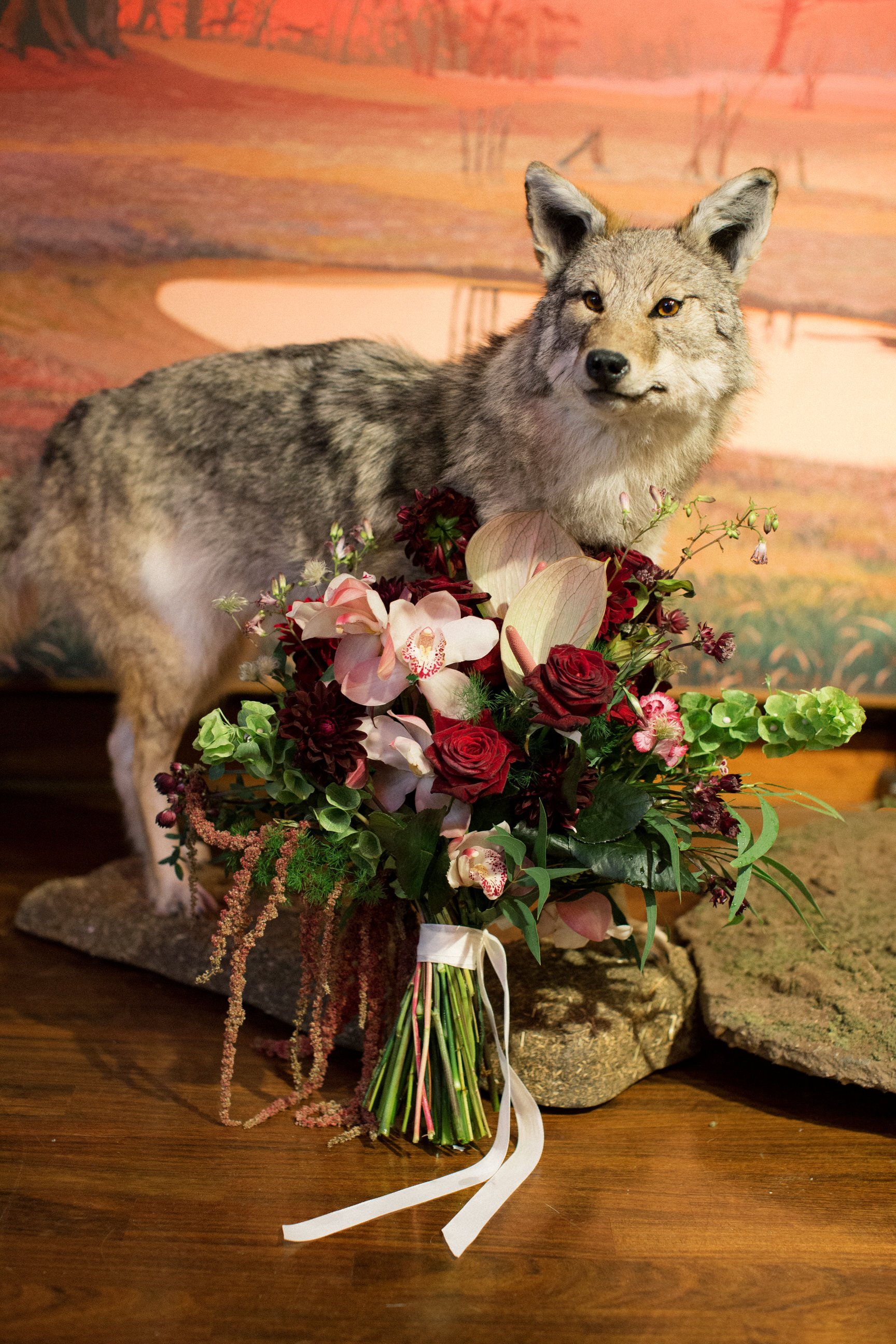 italian-wedding-taxidermy-museum 0152.jpg