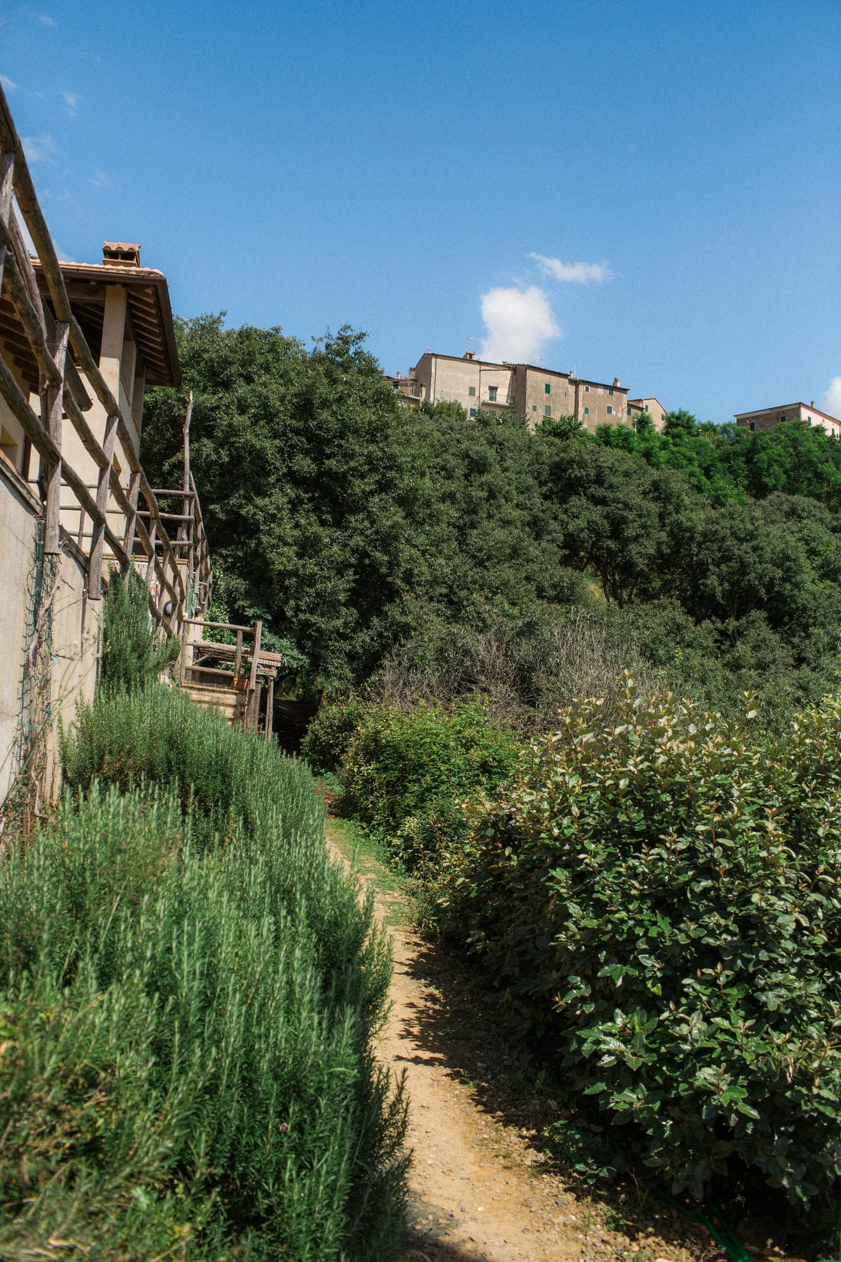 il-baciarino-wedding-in-maremma-tuscany 0005.JPG