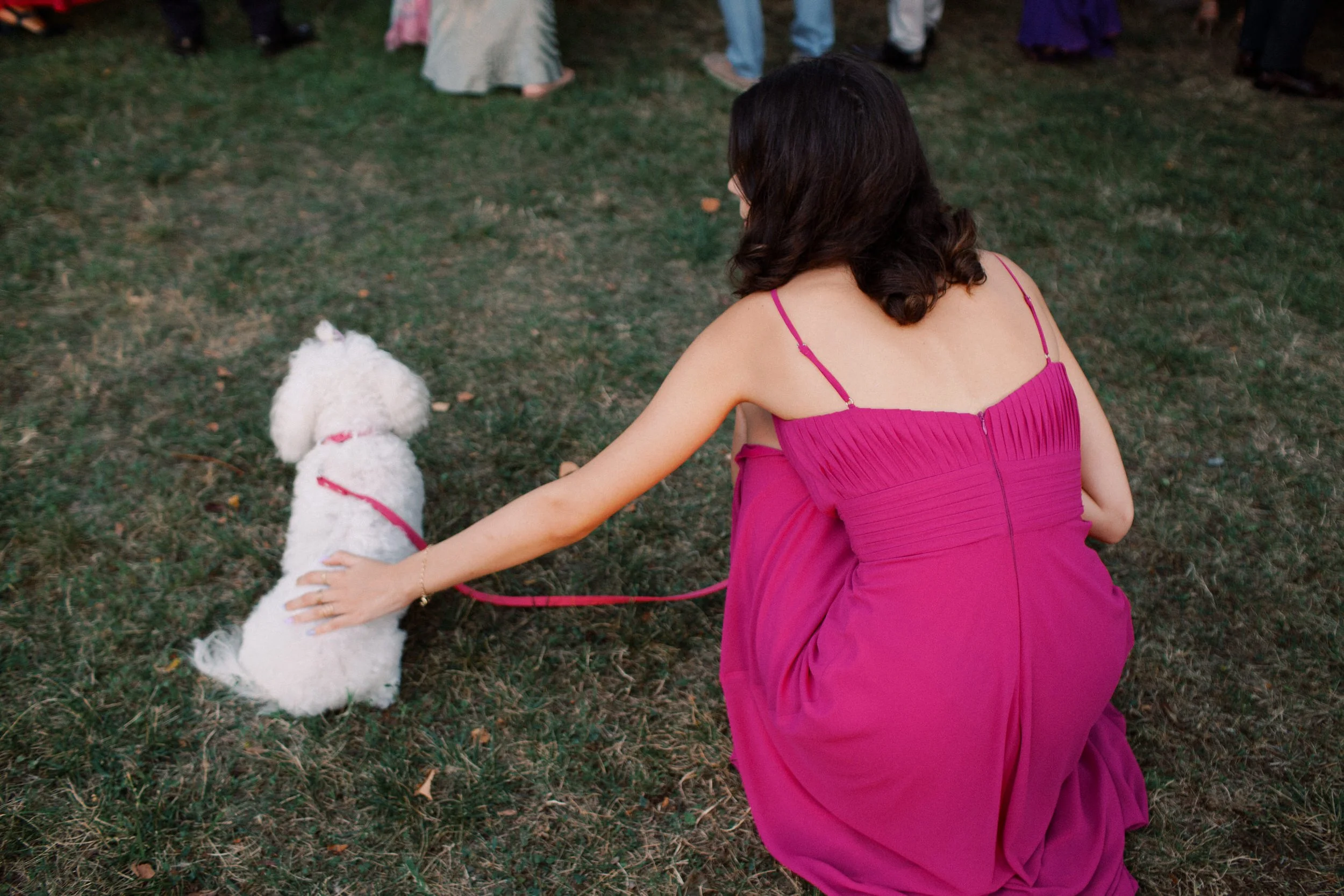 Una donna con capelli corti e vestito rosa viola è seduta a terra che accarezza un cane bianco con un collare rosa. Sullo sfondo si vedono altre persone che camminano sull'erba.