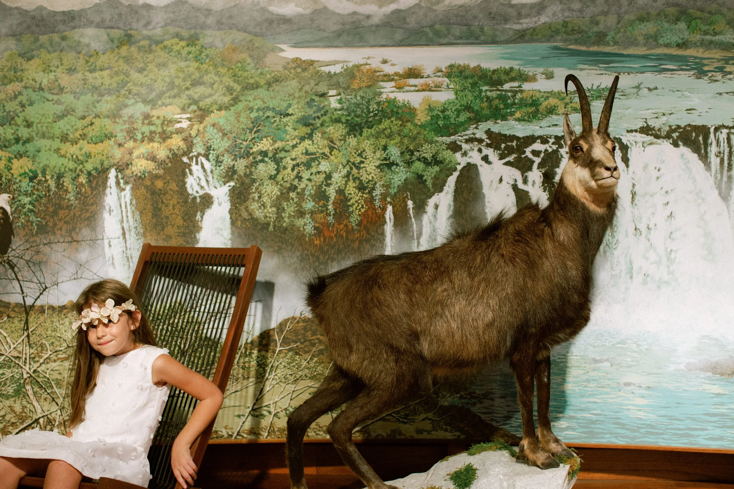 italian-wedding-taxidermy-museum 0130.jpg