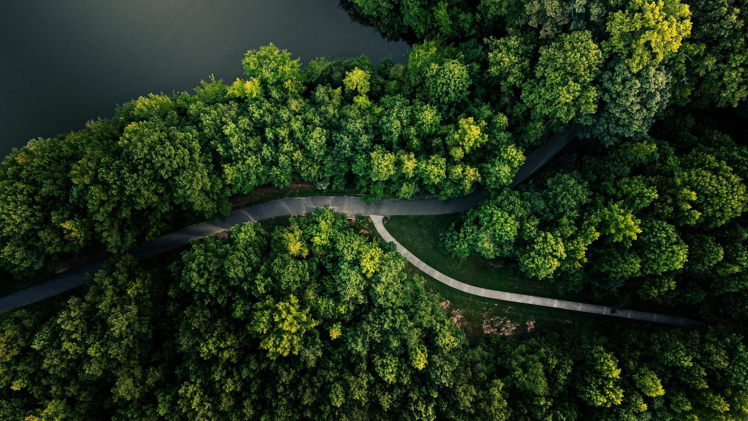 Aerial view of a winding paved path through a dense green forest next to a body of water.