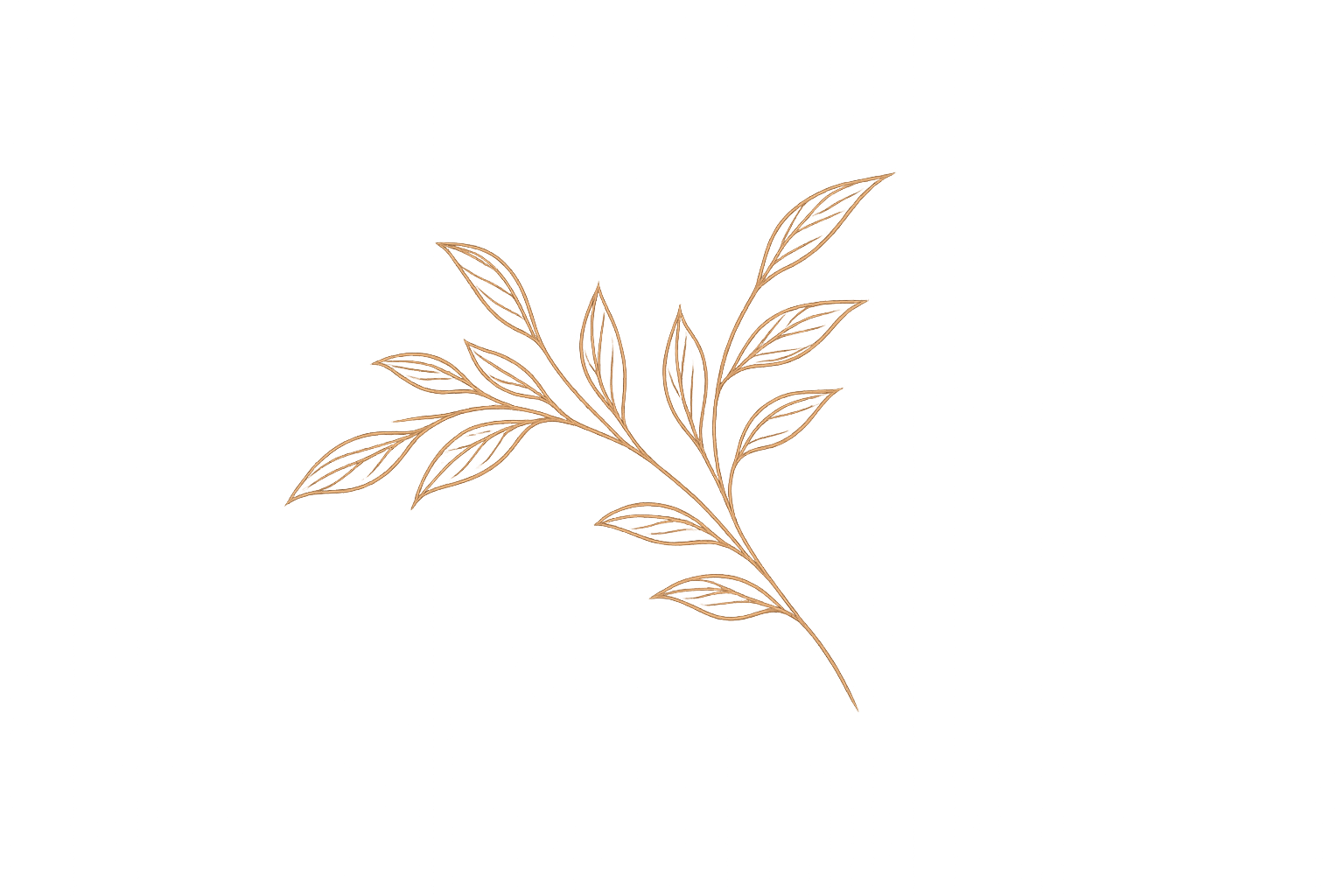 Outline drawing of a leafy branch with soft glowing background
