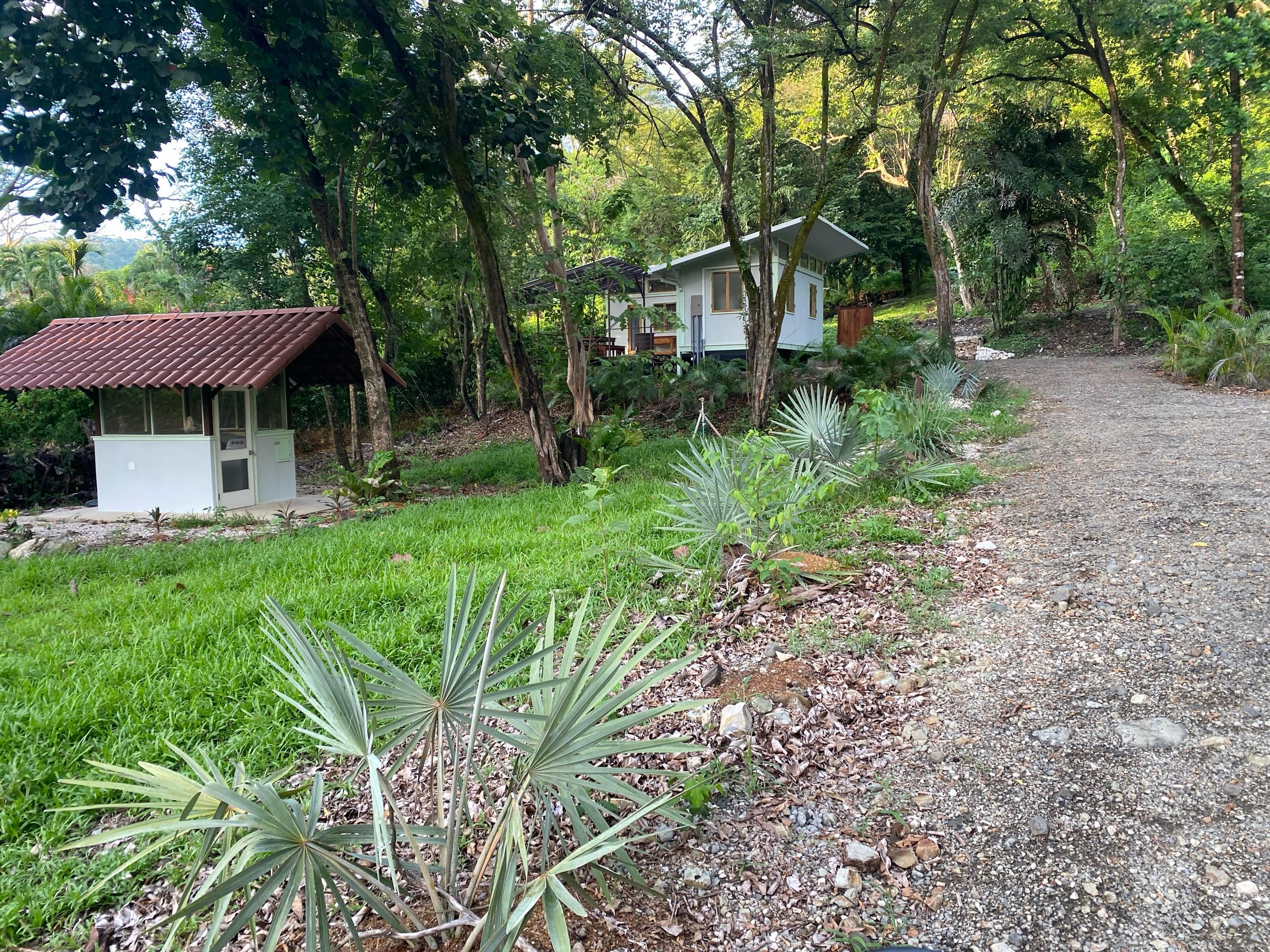 Little laundry with spacious garden and cabin like modular casita with 1 or 2 bedrooms.