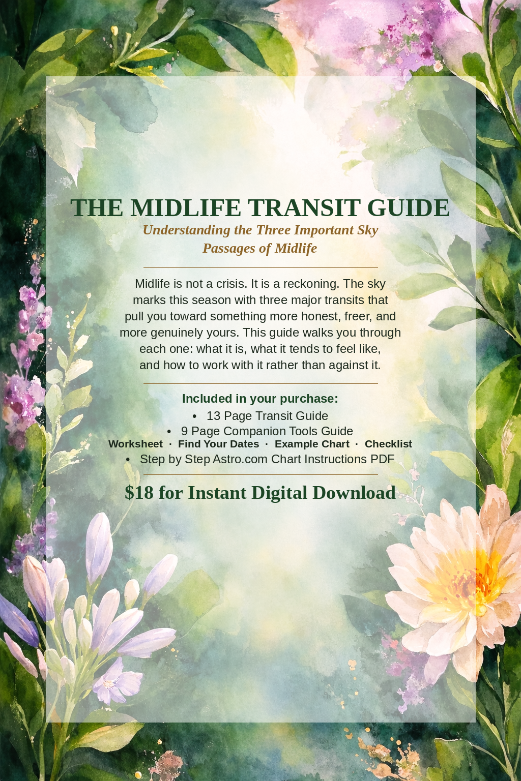 Midlife Transit Guide - Bundle