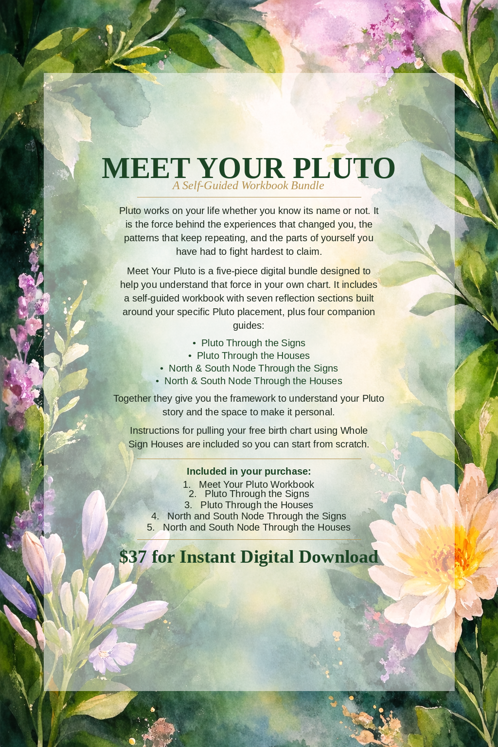 Meet Your Pluto - Digital Workbook Bundle