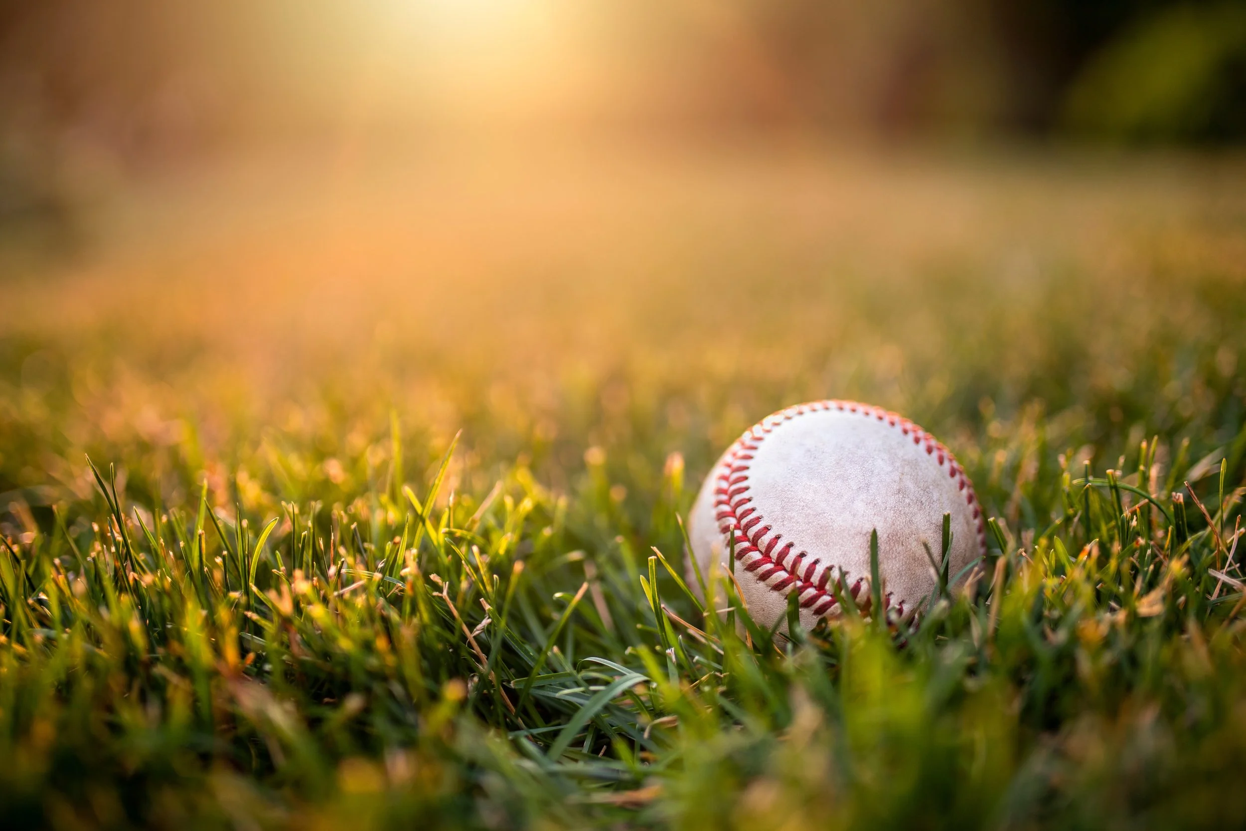 A close-up of a baseball lying on green grass with sunlight shining in the background.