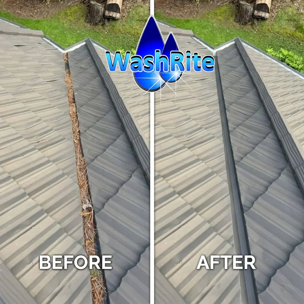 Gutter-Cleaning - BEFORE+AFTER-1 copy.webp