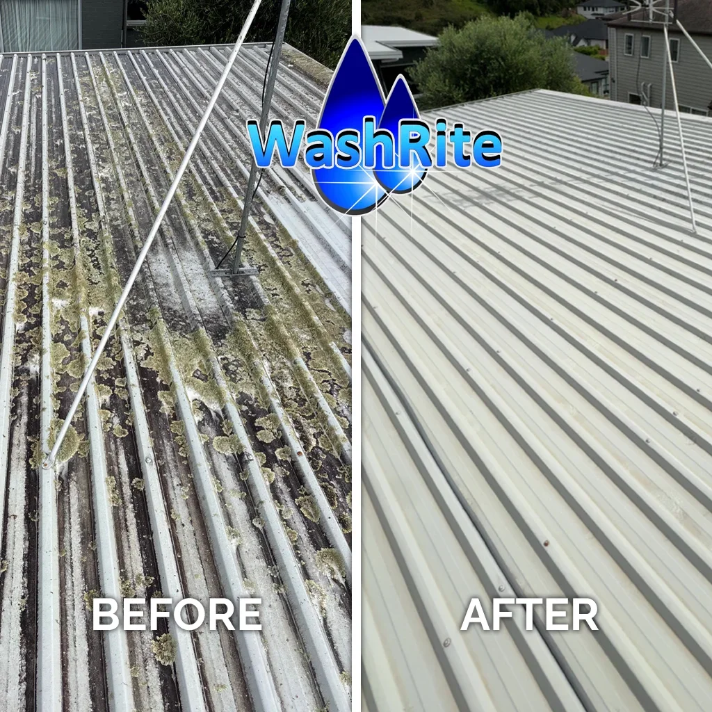 WashRite Roof Wash - BEFORE+AFTER-1 copy.webp