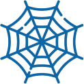 Spider & Insect Treatments