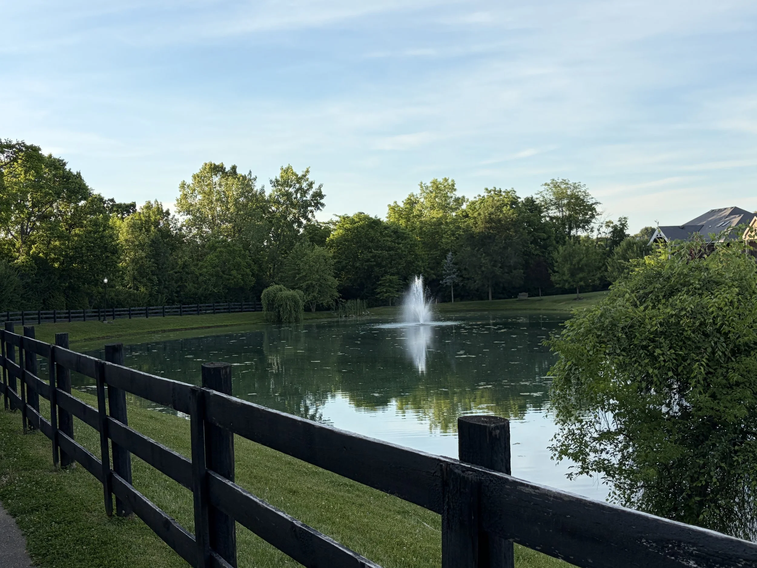 IMG_2977.jpeg