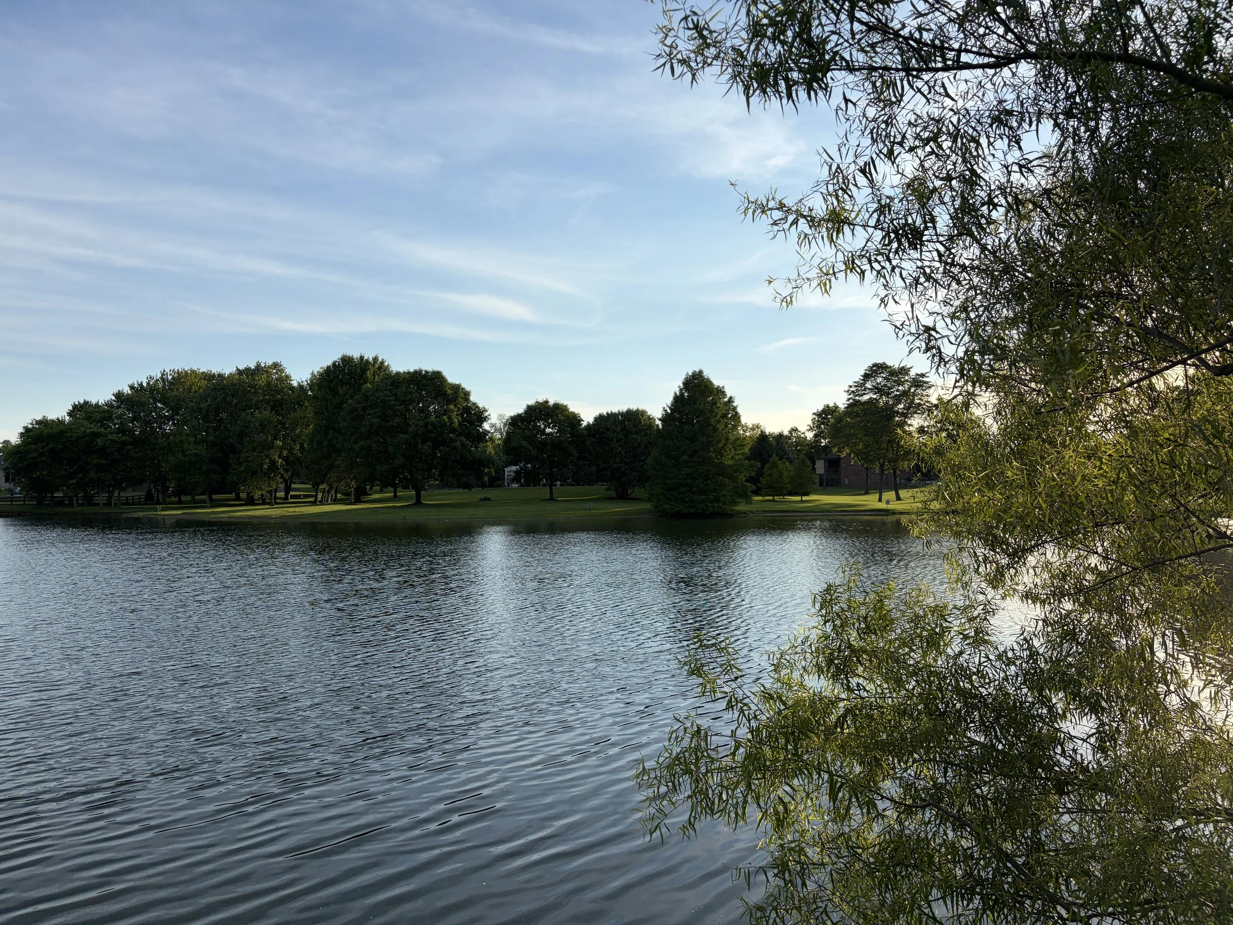 IMG_2981.jpeg