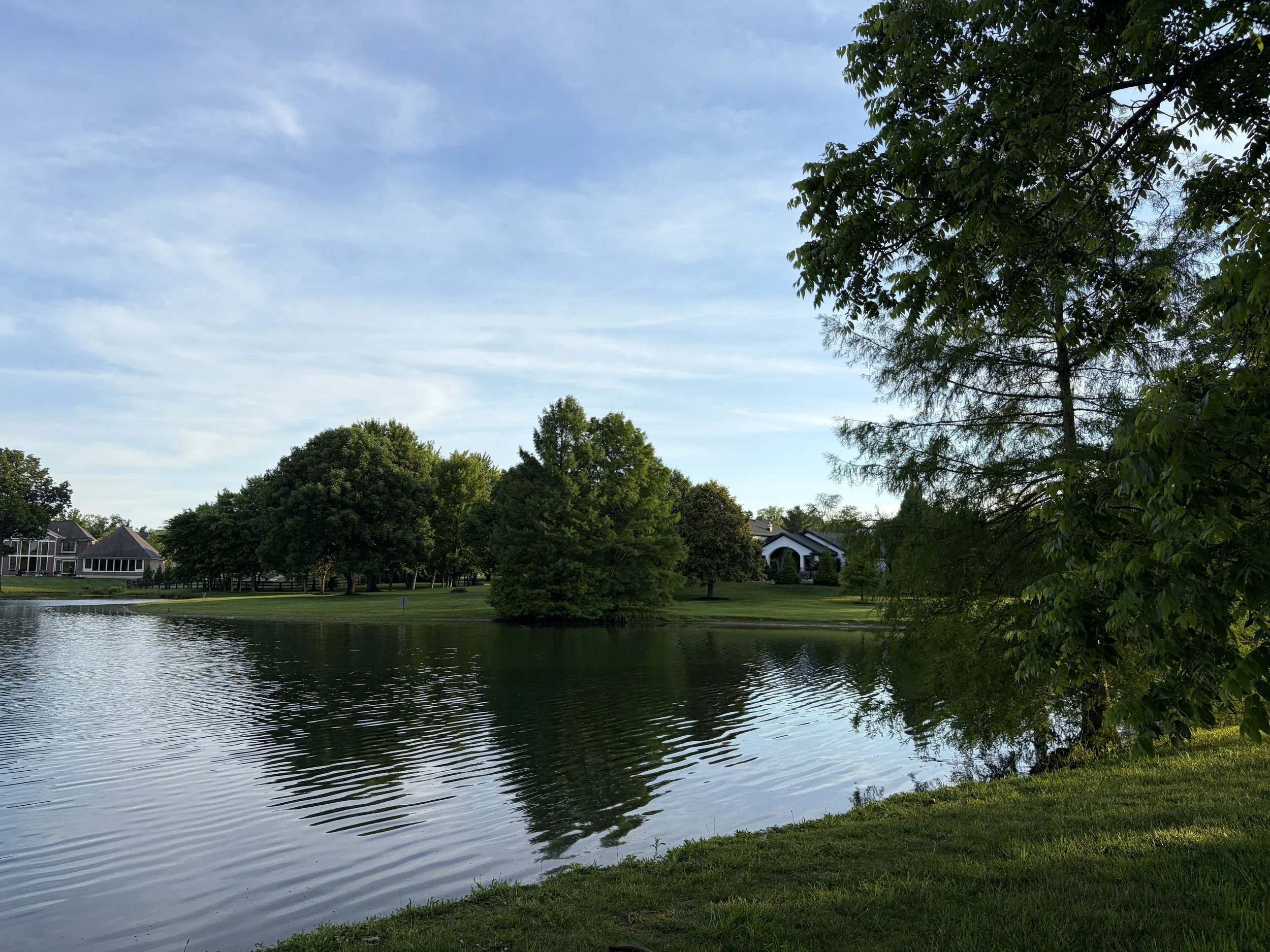 IMG_2983.jpeg