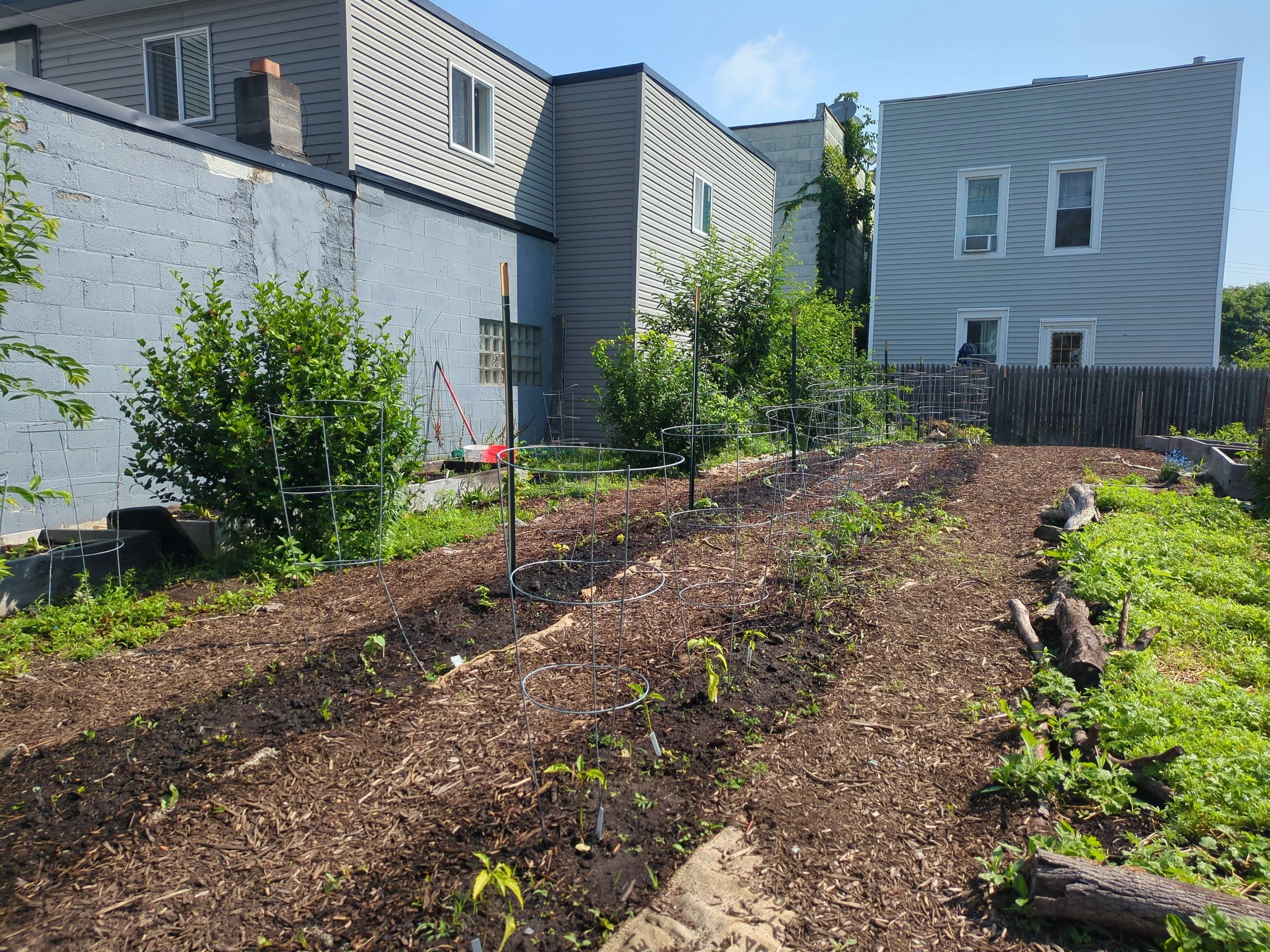 Building No-Till Garden Beds: A Hands-On Workshop - Adult Workshop - Saturday, August 1st