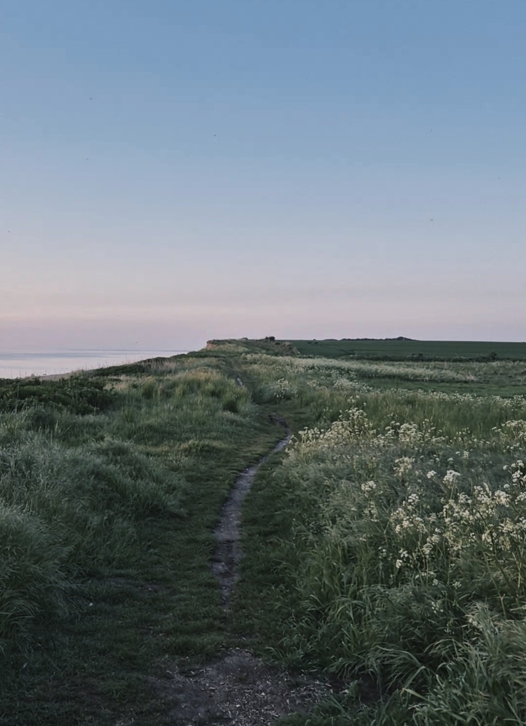 Ein schmaler Wanderweg führt durch eine grüne, blühende Wiesenlandschaft entlang der Küste, mit Blick auf das Meer im Hintergrund bei Sonnenuntergang oder -aufgang.