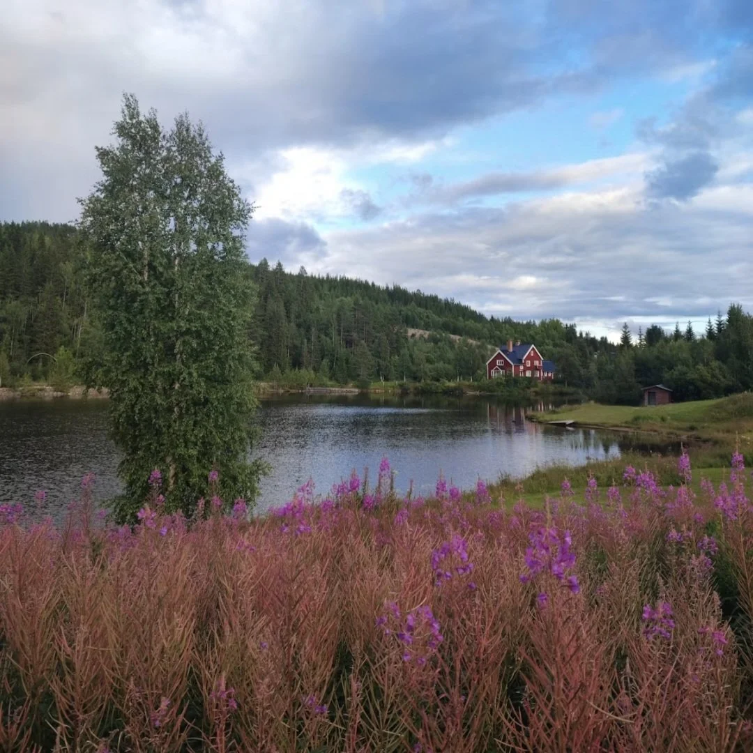 Ein ländliches Gewässer mit buntem Haus in der Ferne, umgeben von Bäumen, Wiesen und einer blühenden, pinken Pflanzenflora im Vordergrund, unter einem bewölkten Himmel.