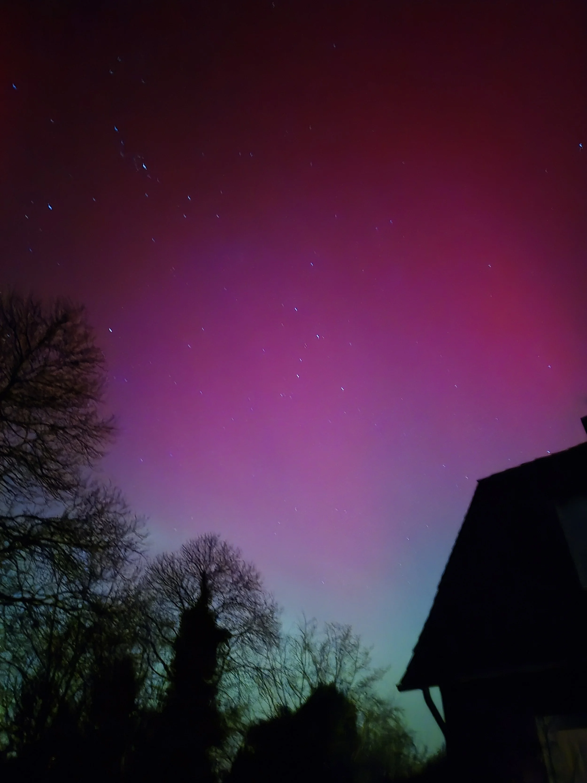 Der Himmel in der Nacht ist mit bunten Nordlichtern in Violett, Blau und Grün gefärbt, umgeben von dunklen Silhouetten von Bäumen und einem Haus.