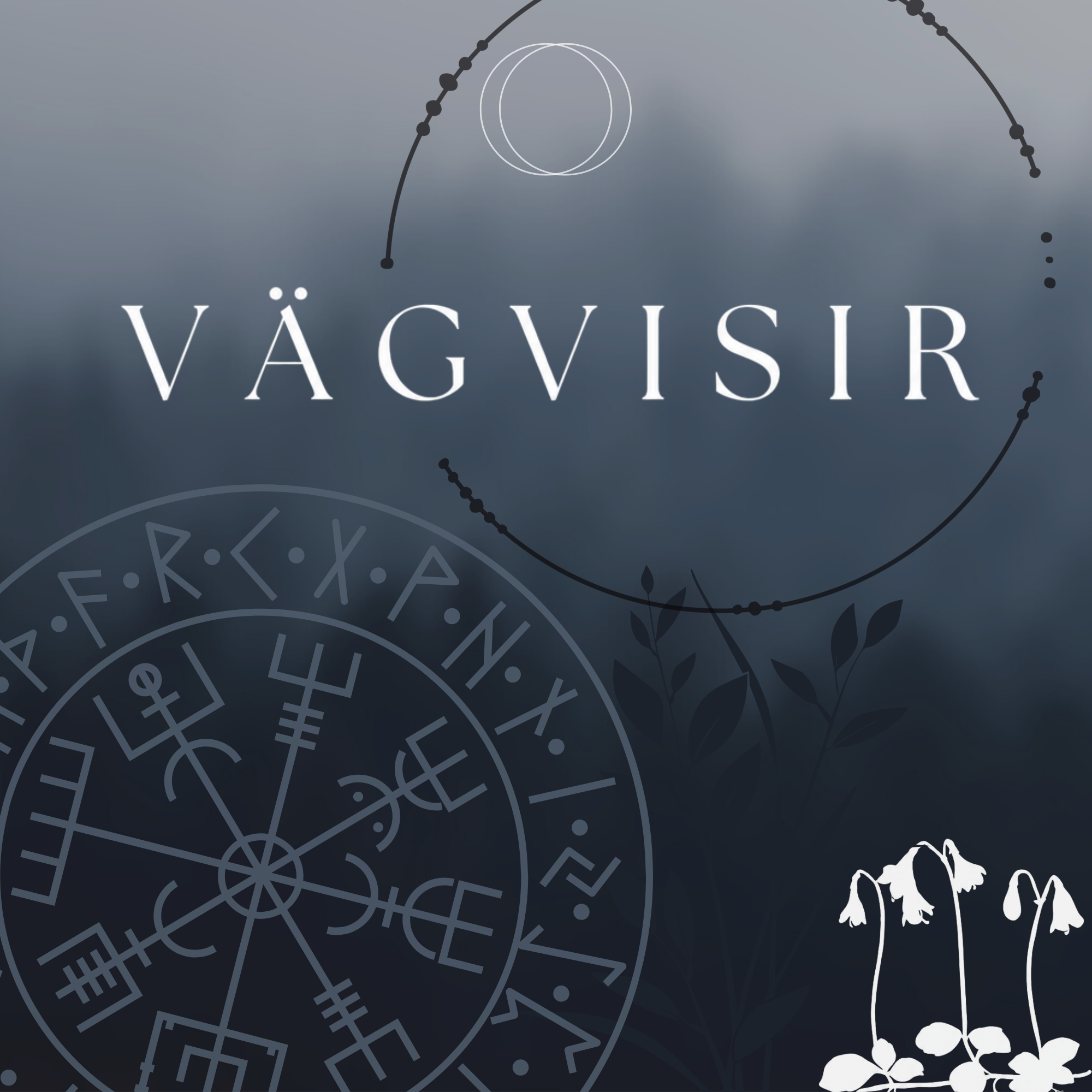 Das Wort "VÄGVISIR" steht in weißer Schrift auf einem grauen Hintergrund, umgeben von grafischen, kreisförmigen Mustern und dekorativen Elementen.
