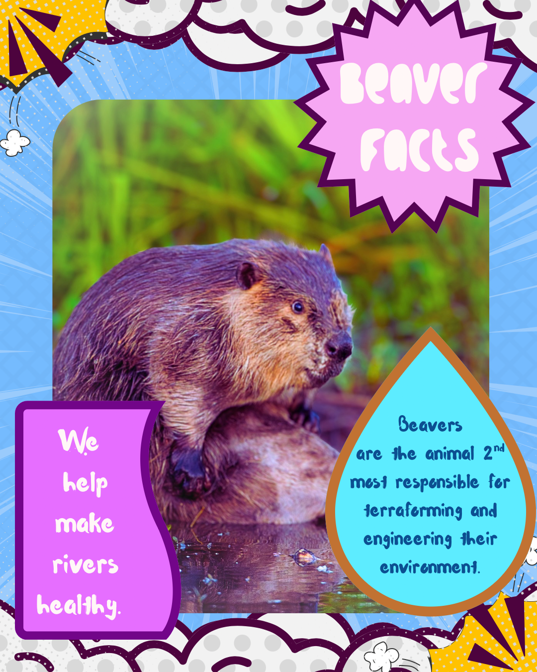 Beaver news.PNG
