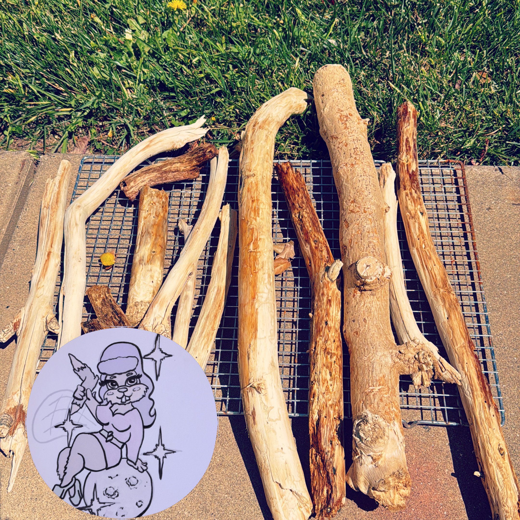 Sagittarius Full Moon Sticks