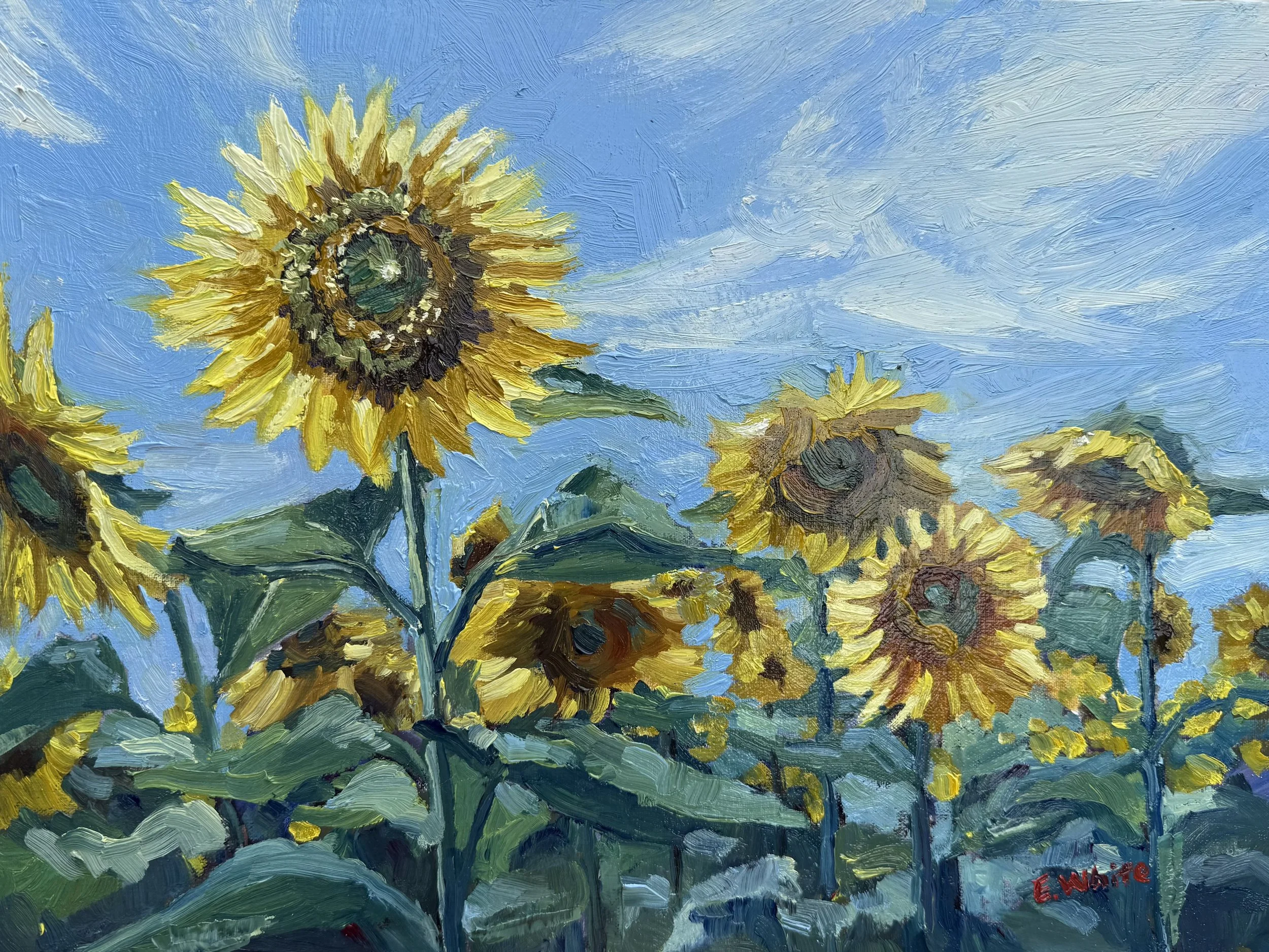 Sunflowers (Oil on Canvas 16" X 12 ")