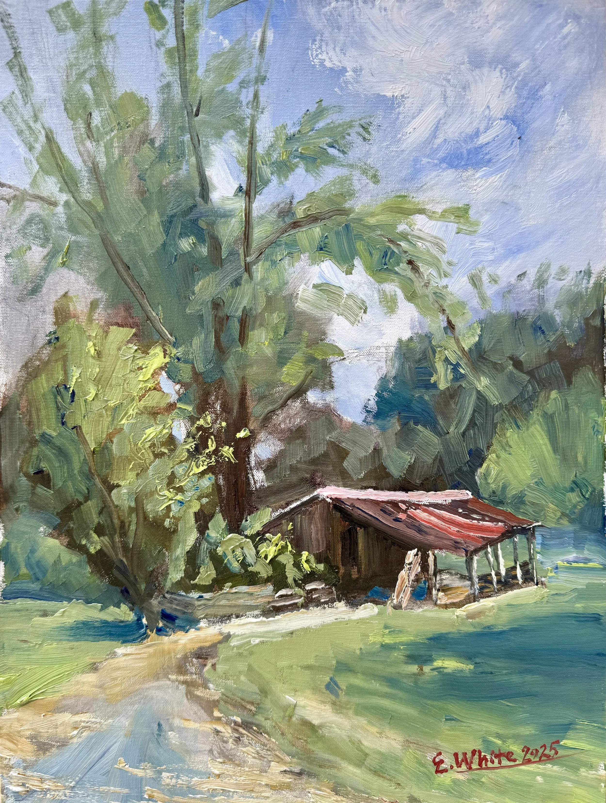 The Tin Roof Shed
(Oil on Canvas
12" X 16")