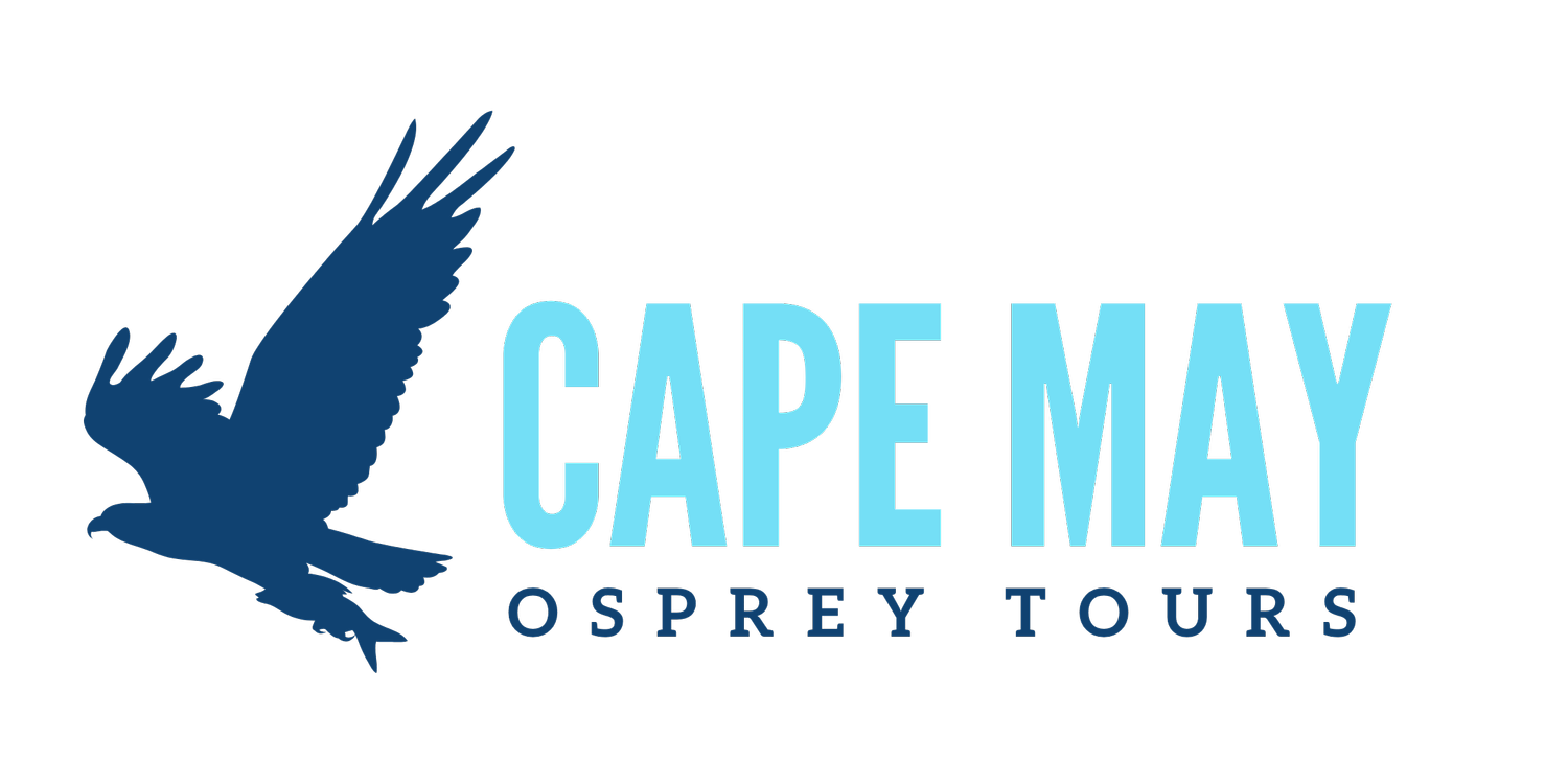 Cape May Osprey Tours